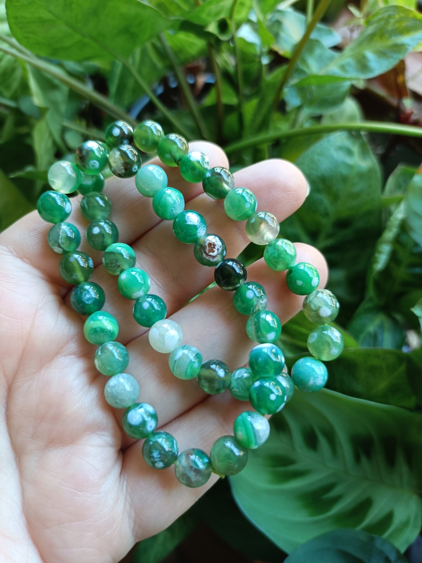 Green Orca Agate Beaded Stretch Bracelet - 8mm