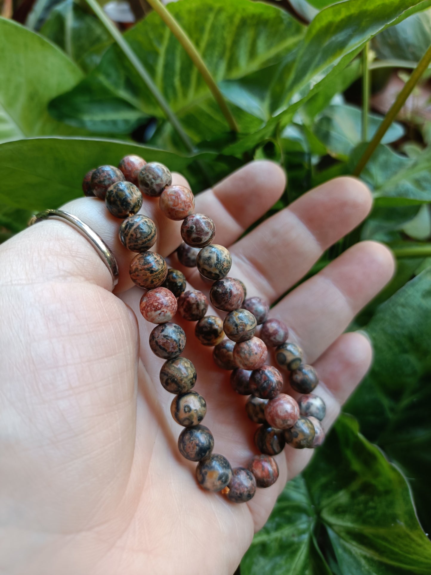 'Leopard Skin' Rhyolite Round Beaded Stretch Bracelet - 8mm