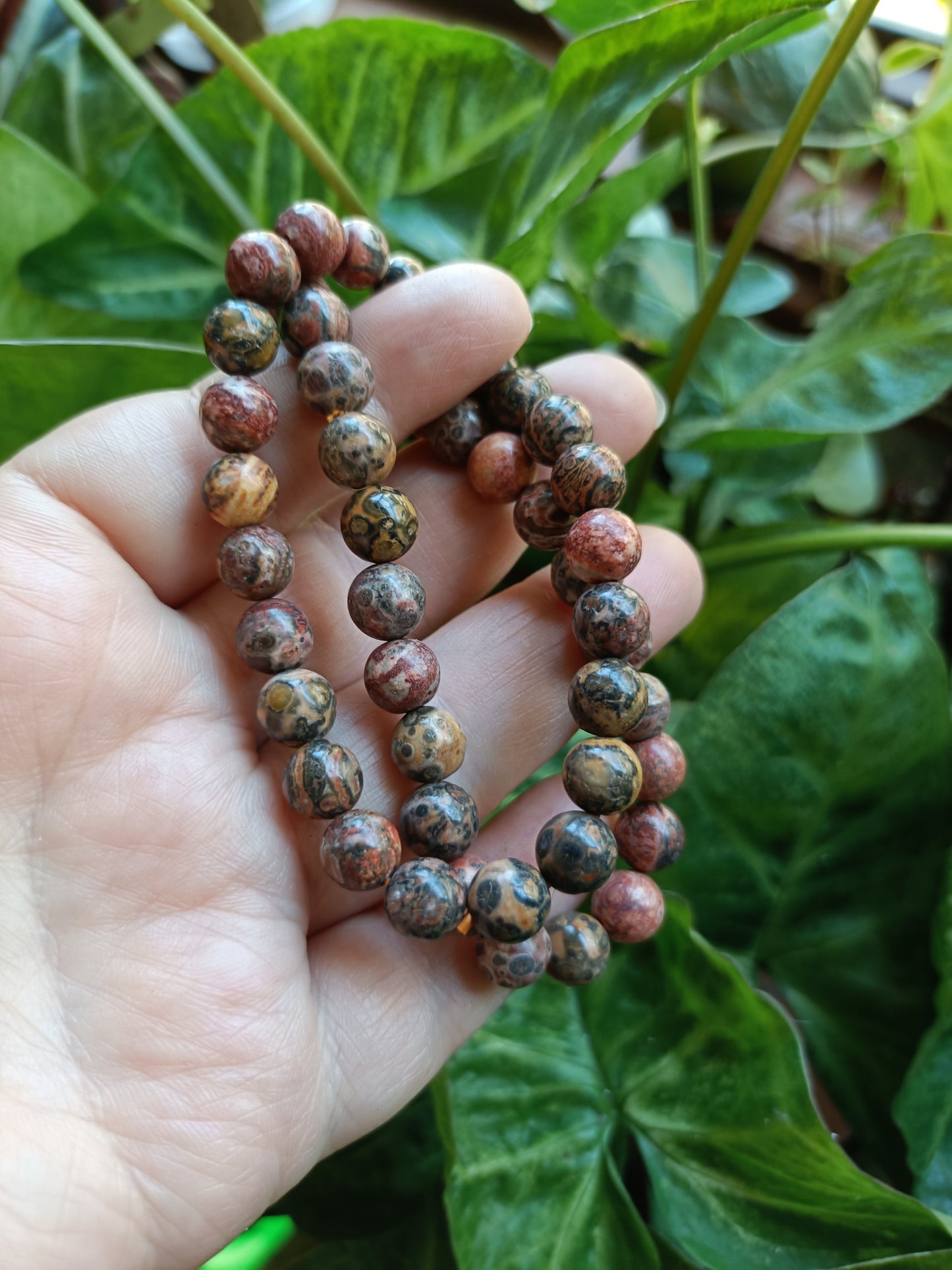 'Leopard Skin' Rhyolite Round Beaded Stretch Bracelet - 8mm
