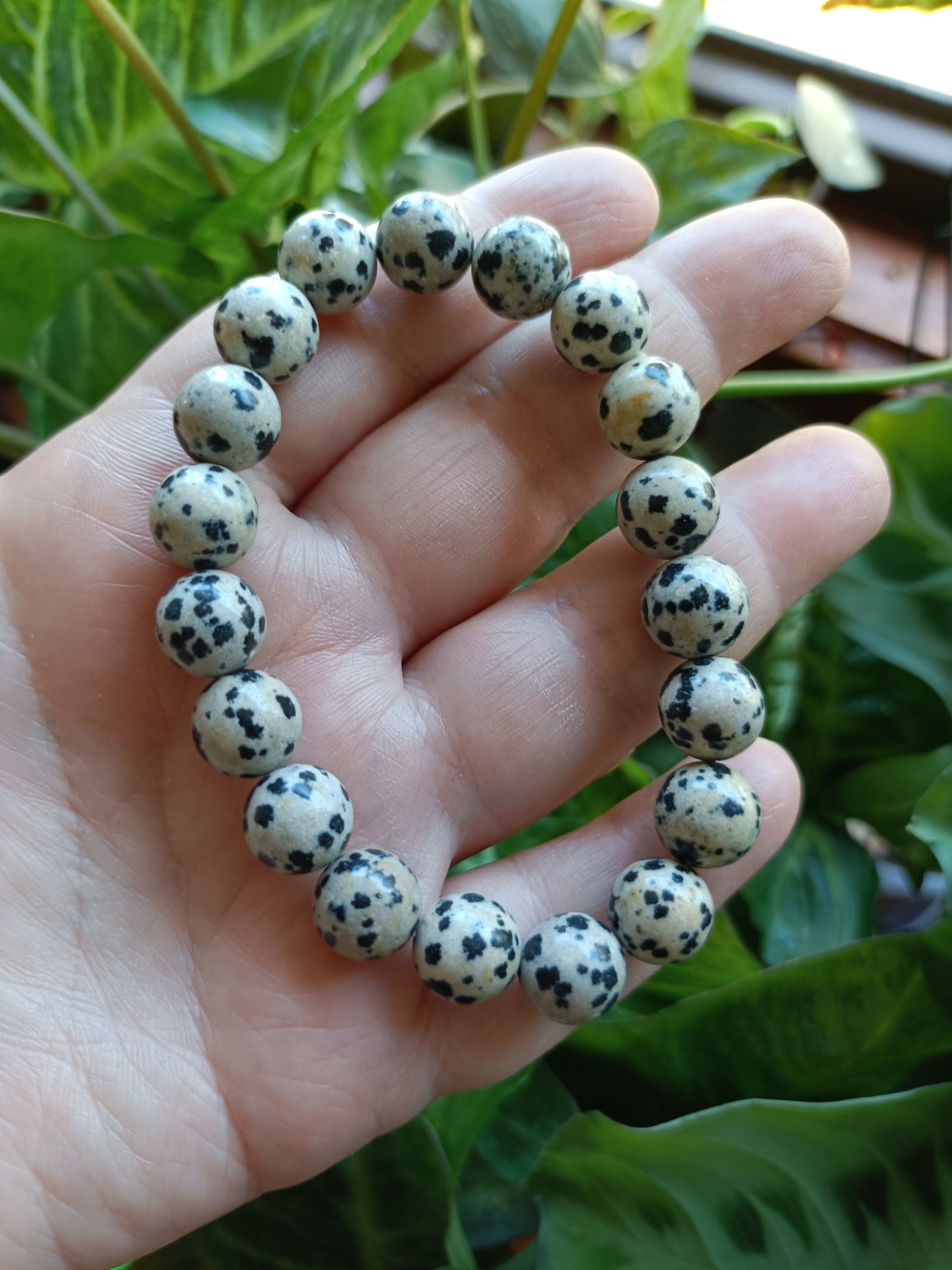 Dalmatian Stone Round Beaded Stretch Bracelet - 10mm