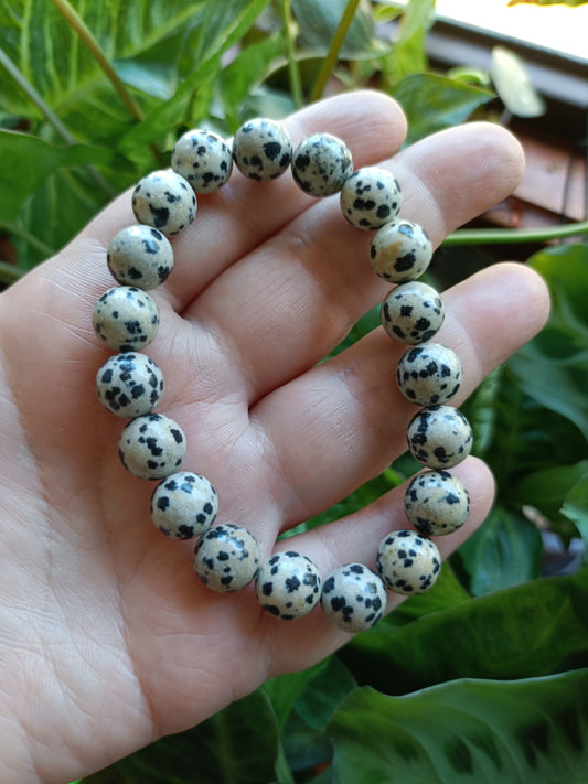 Dalmatian Stone Round Beaded Stretch Bracelet - 10mm