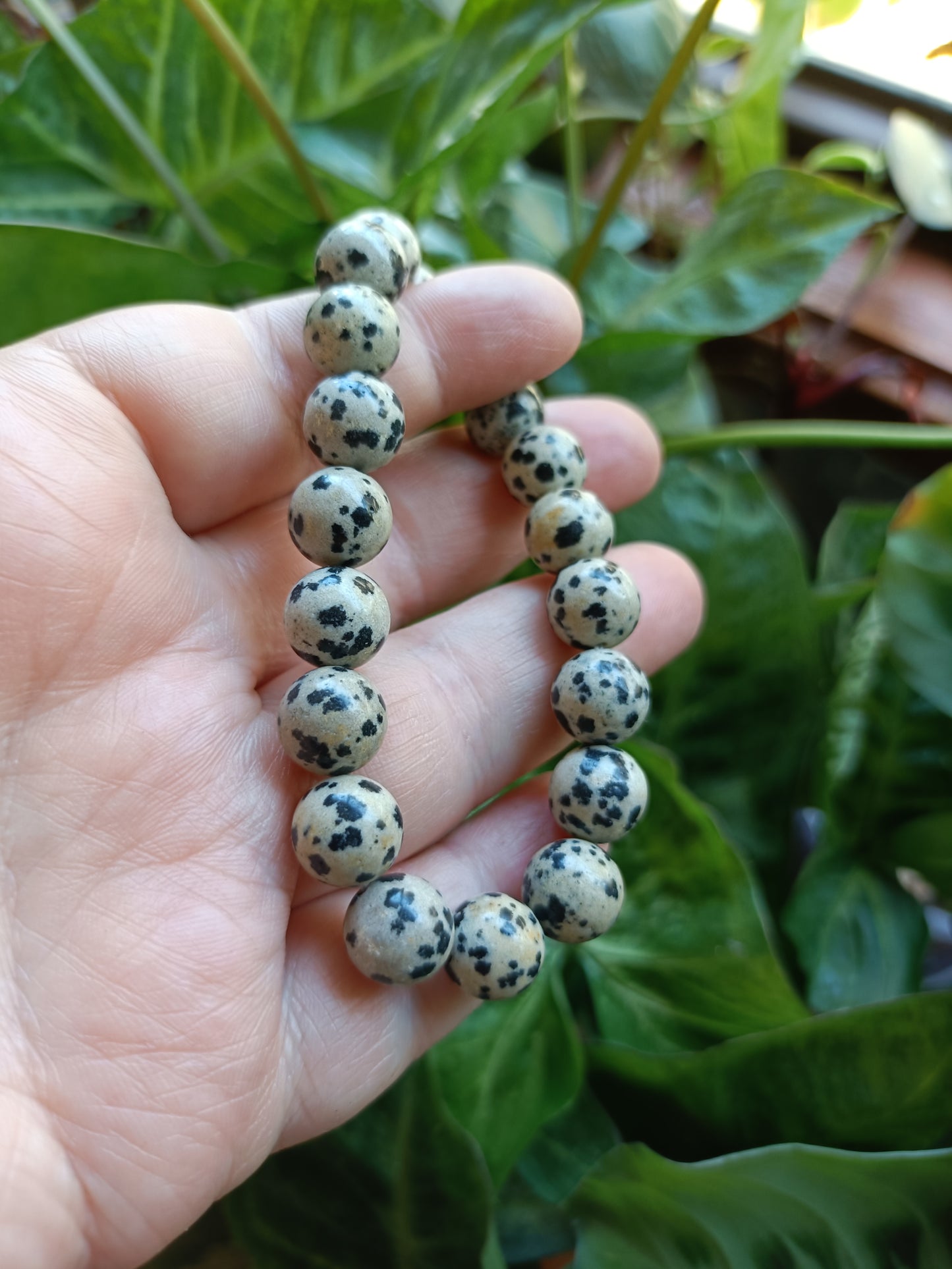 Dalmatian Stone Round Beaded Stretch Bracelet - 10mm