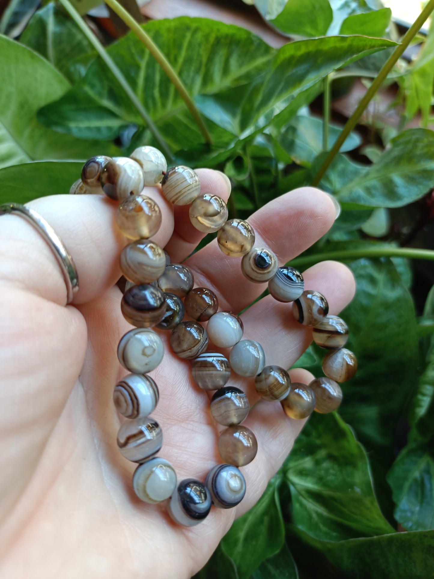 Botswana Agate Beaded Stretch Bracelet - 10mm