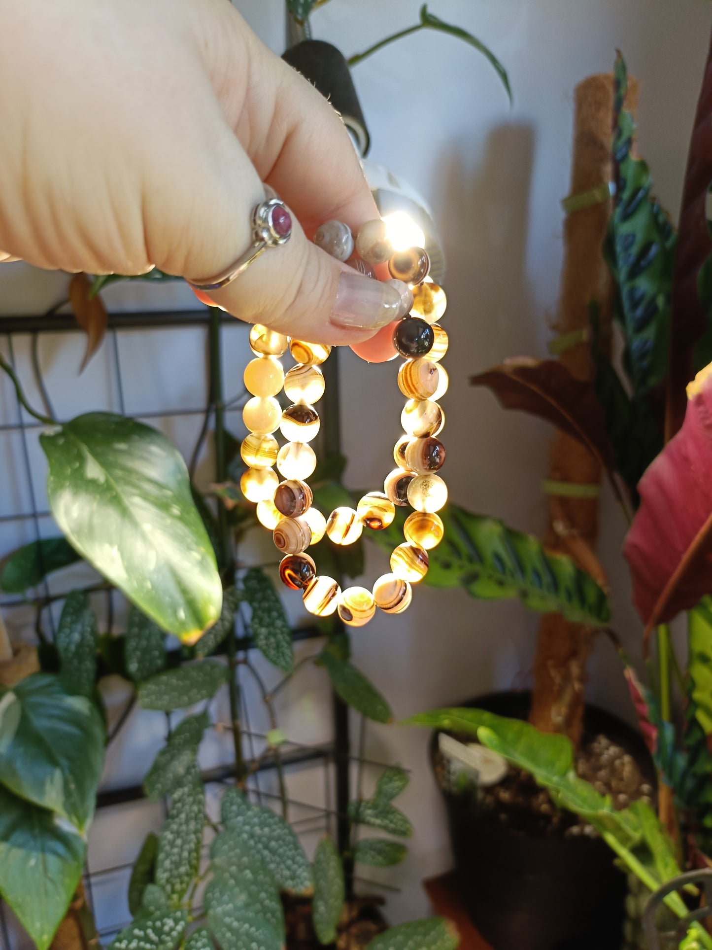 Botswana Agate Beaded Stretch Bracelet - 10mm