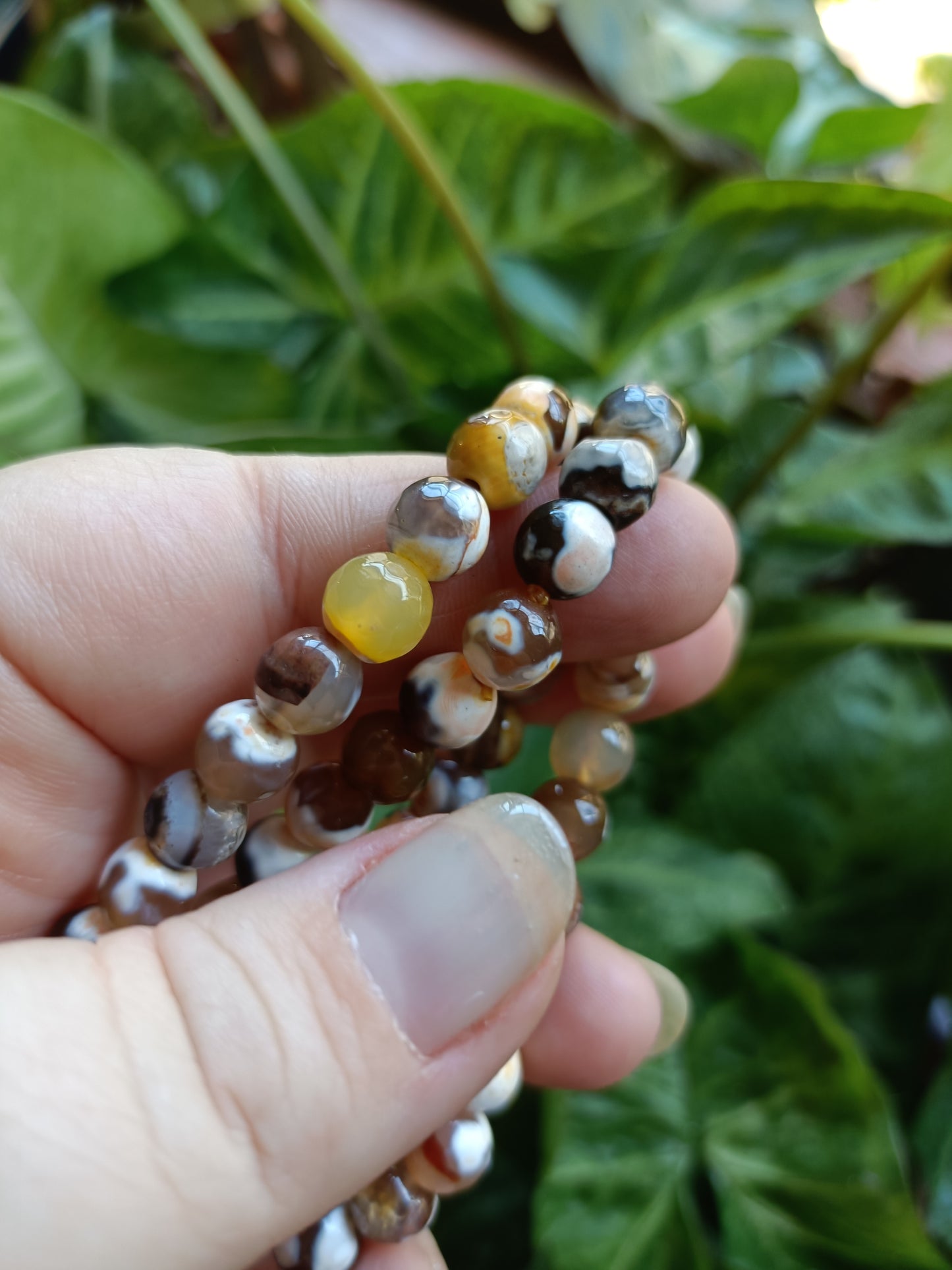 Yellow Orca Agate Beaded Stretch Bracelet - 8mm