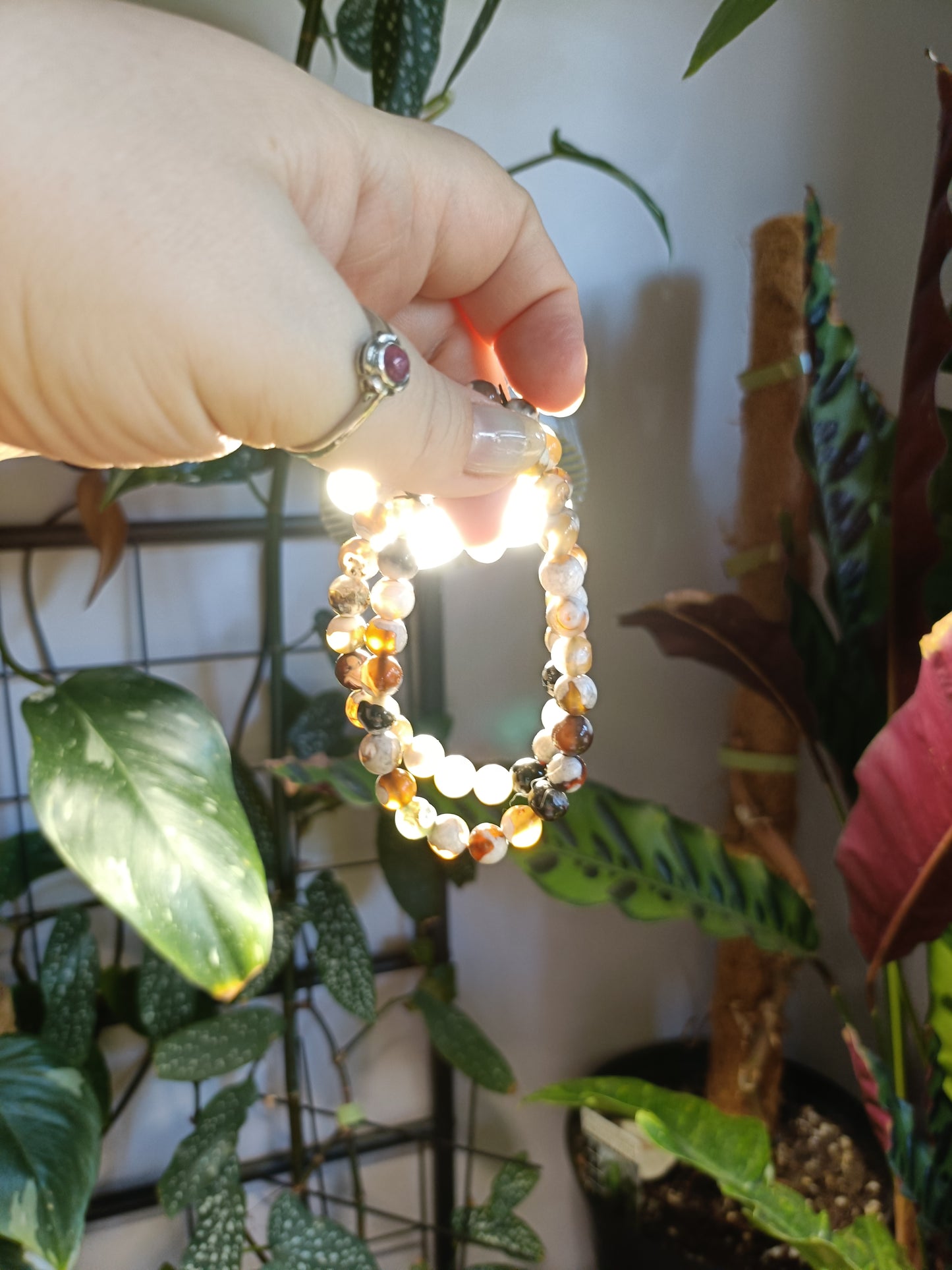 Brown Orca Agate Beaded Stretch Bracelet - 8mm