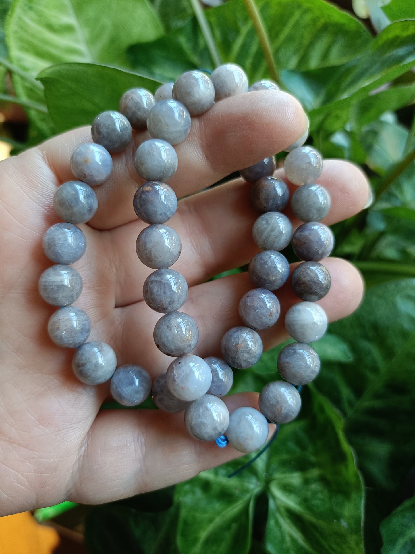 Blue Rose Quartz Round Beaded Stretch Bracelet - 10mm
