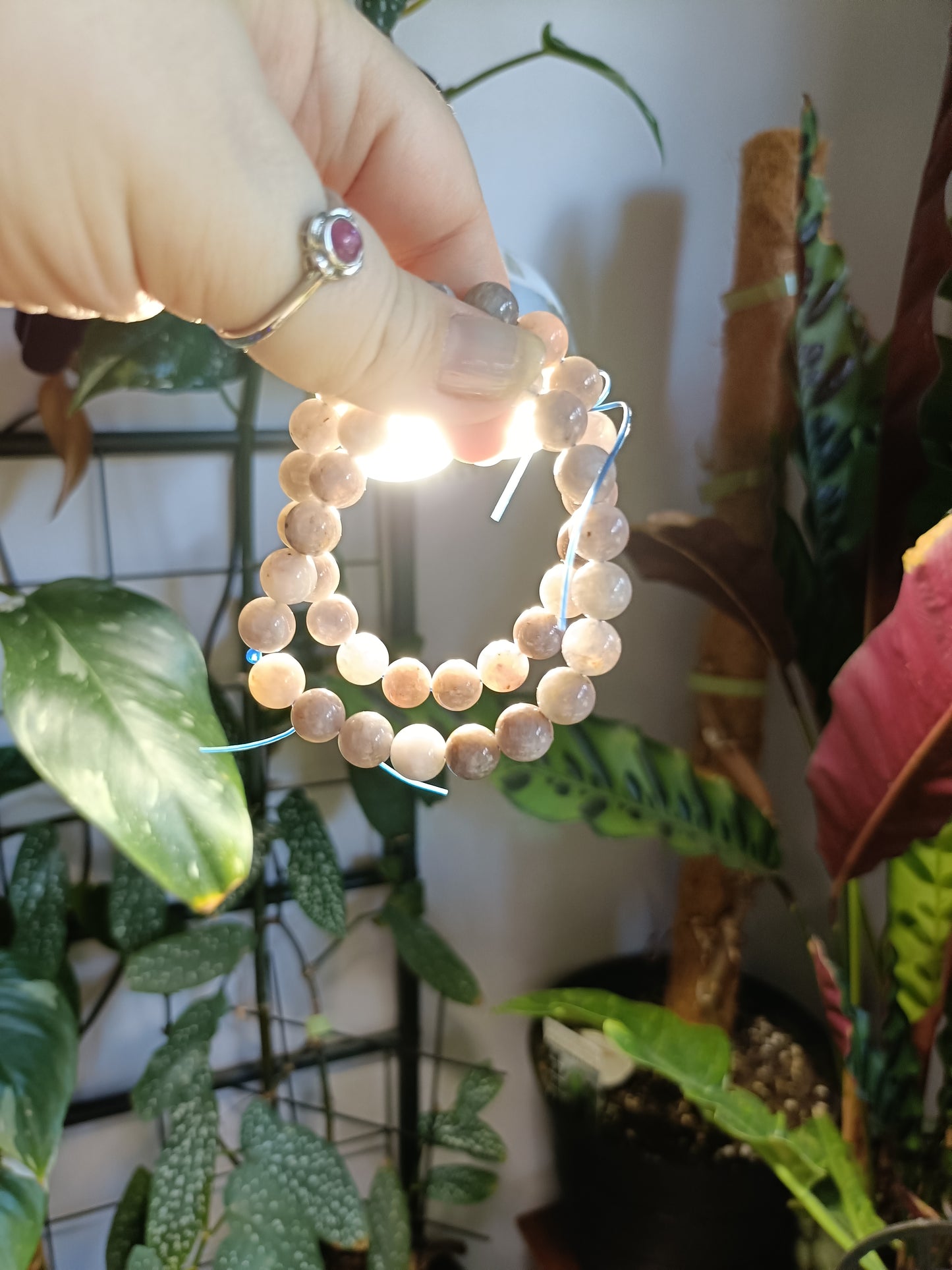 Blue Rose Quartz Round Beaded Stretch Bracelet - 10mm