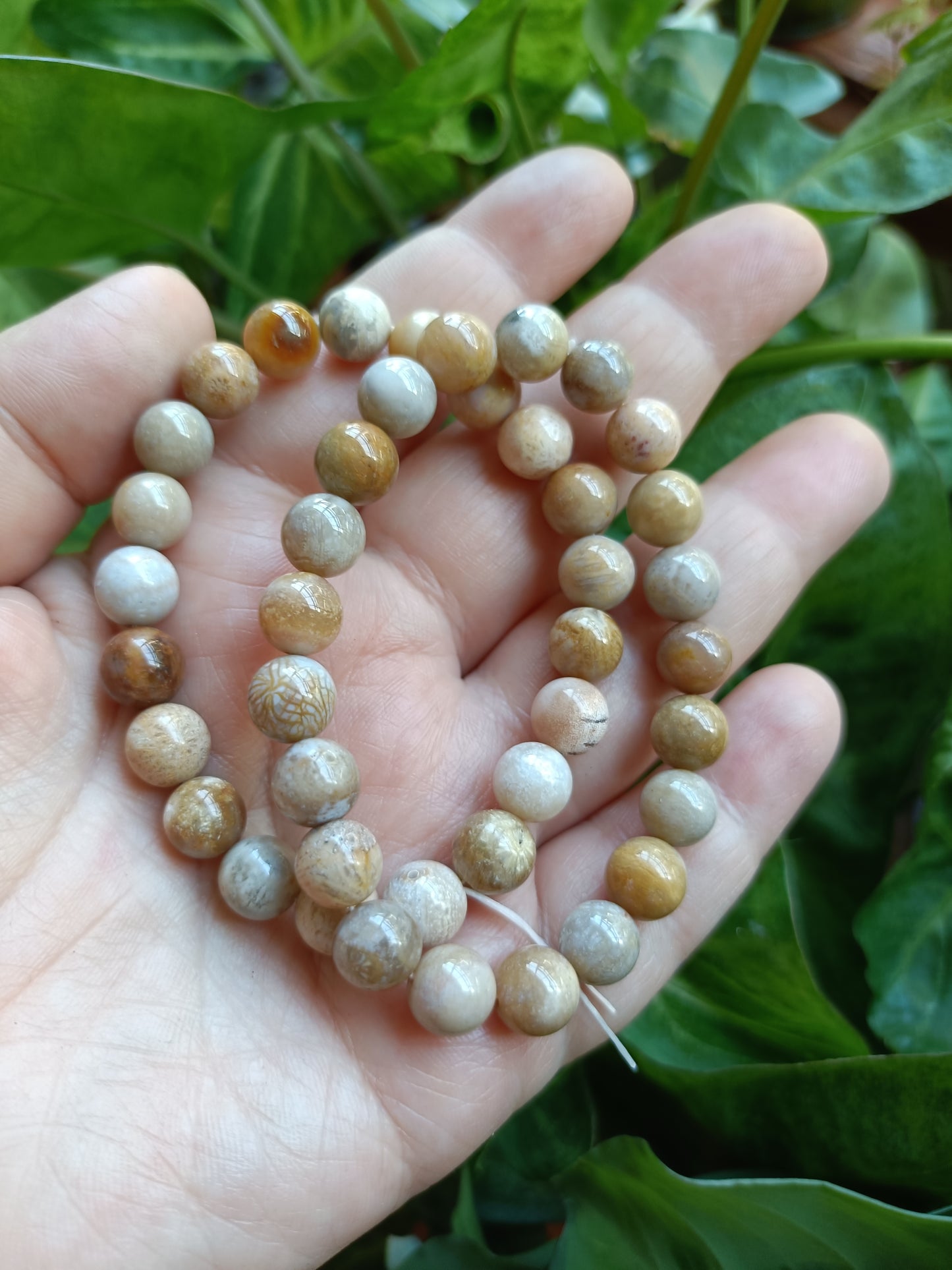 Coral Jade Round Beaded Stretch Bracelet - 8mm