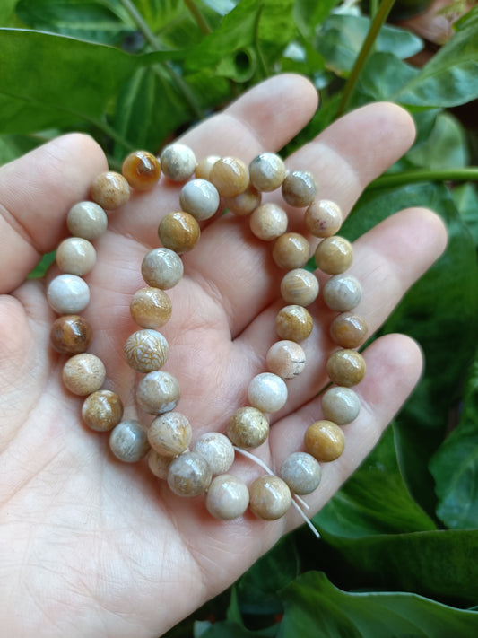 Coral Jade Round Beaded Stretch Bracelet - 8mm