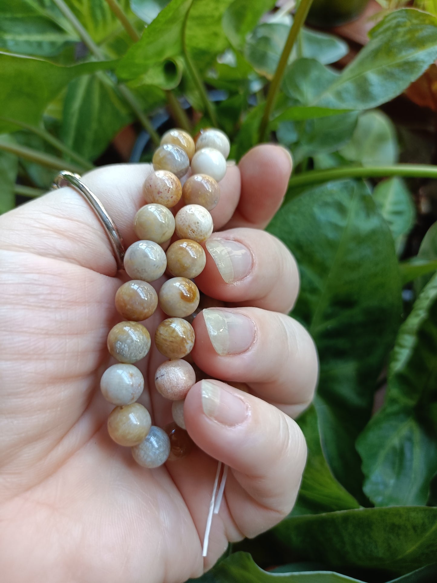 Coral Jade Round Beaded Stretch Bracelet - 8mm