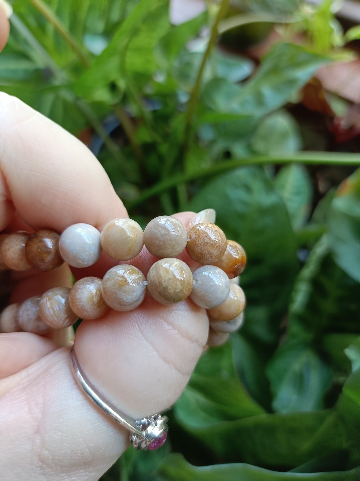 Coral Jade Round Beaded Stretch Bracelet - 8mm