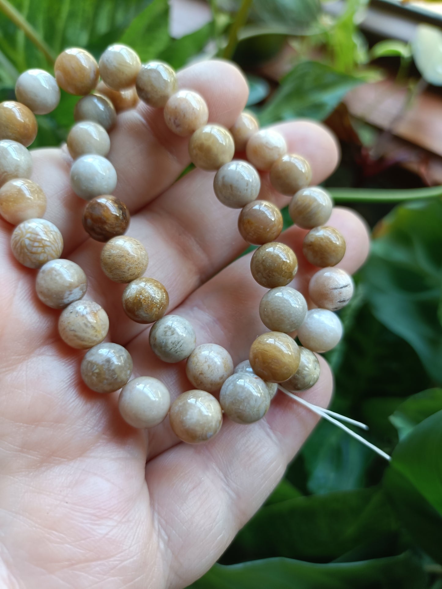 Coral Jade Round Beaded Stretch Bracelet - 8mm