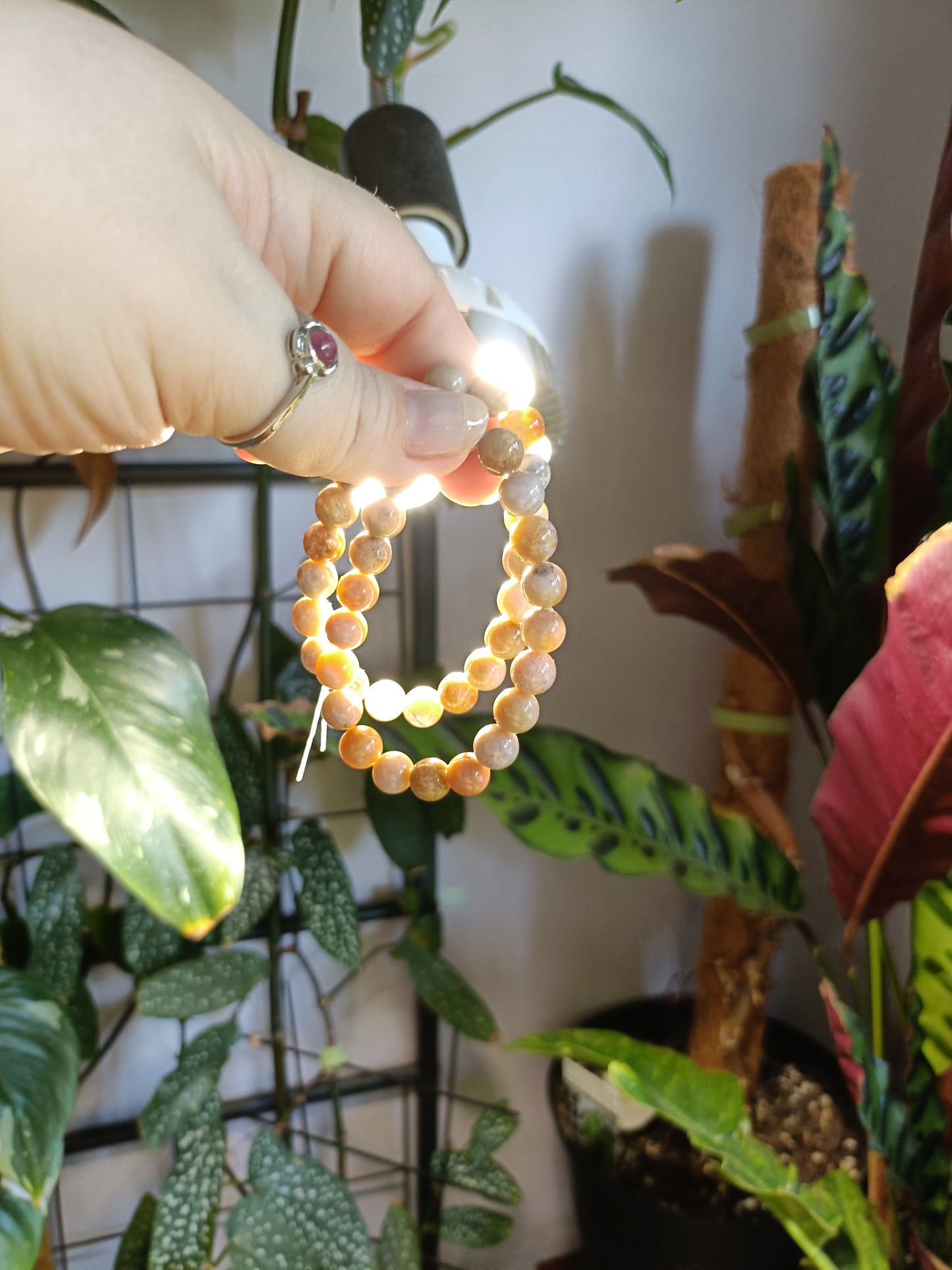 Coral Jade Round Beaded Stretch Bracelet - 8mm