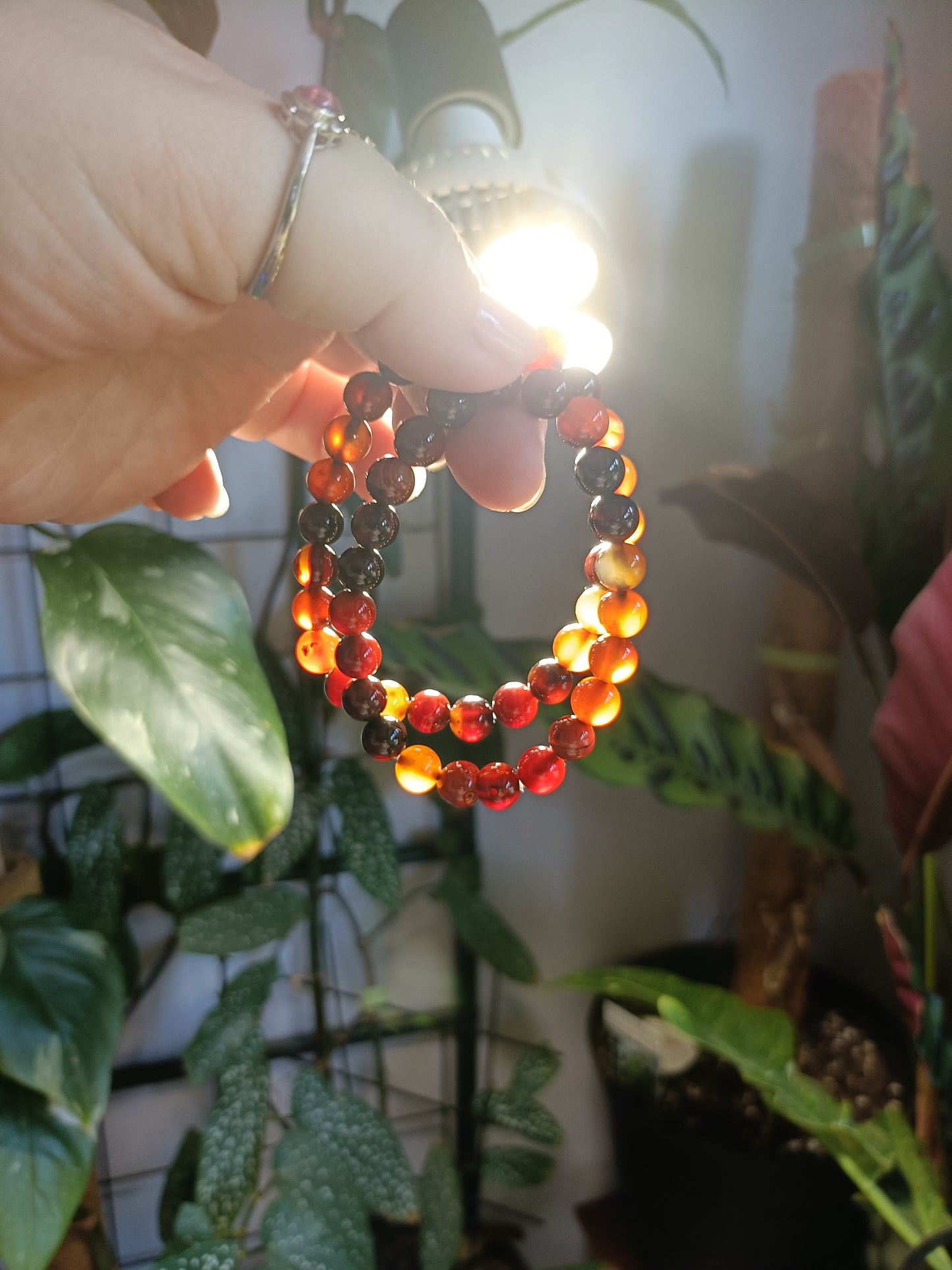 Sardonyx Round Beaded Bracelet - 8mm
