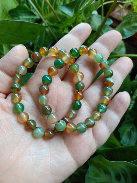 Peacock Agate Beaded Stretch Bracelet - 8mm