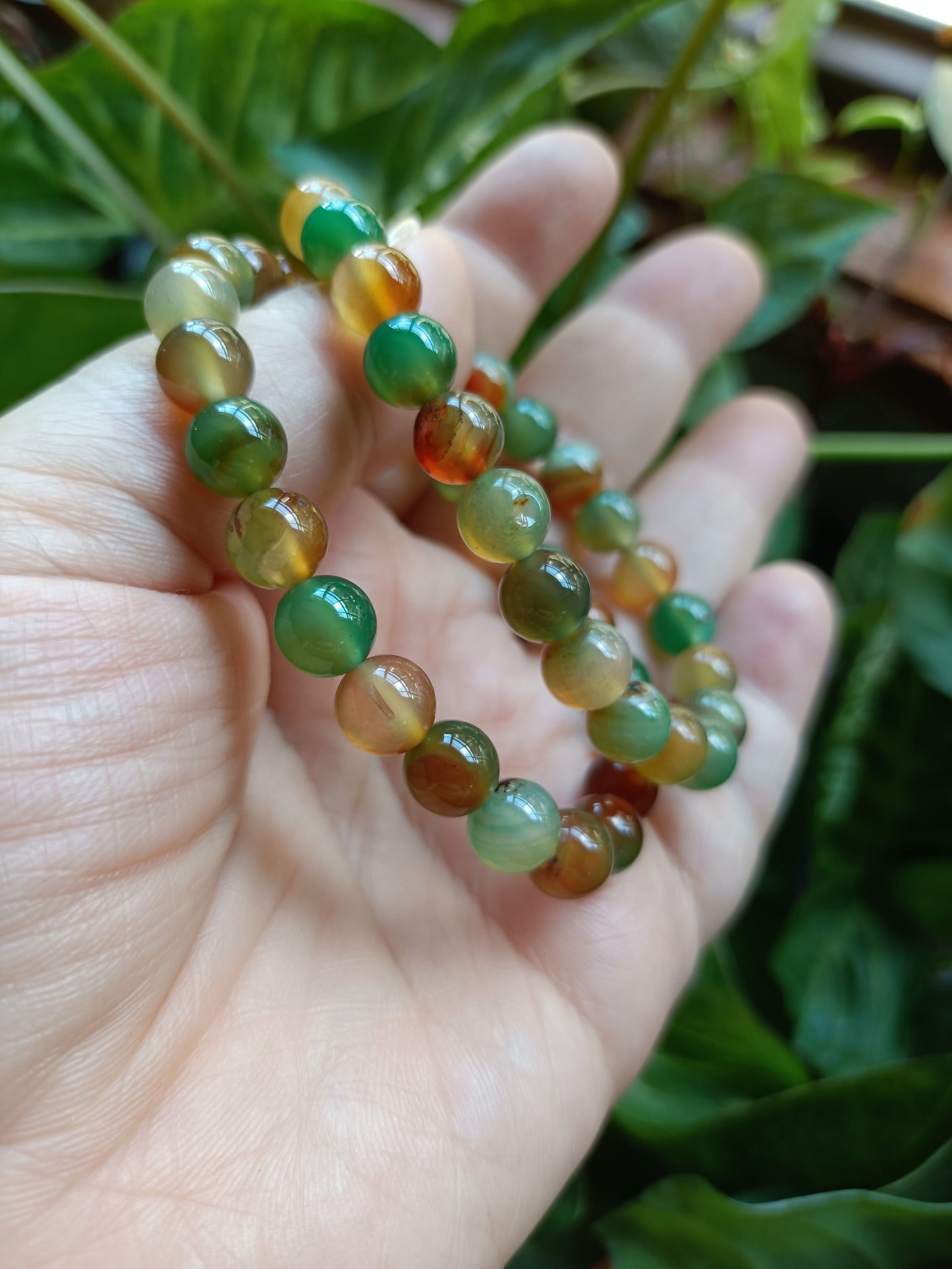 Peacock Agate Beaded Stretch Bracelet - 8mm