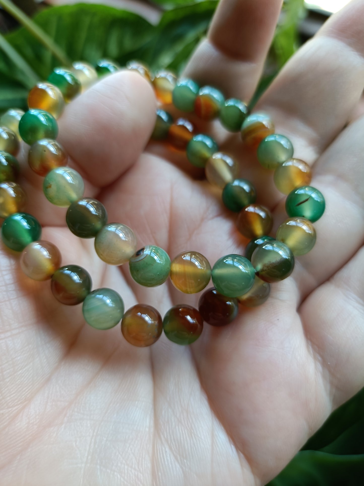 Peacock Agate Beaded Stretch Bracelet - 8mm