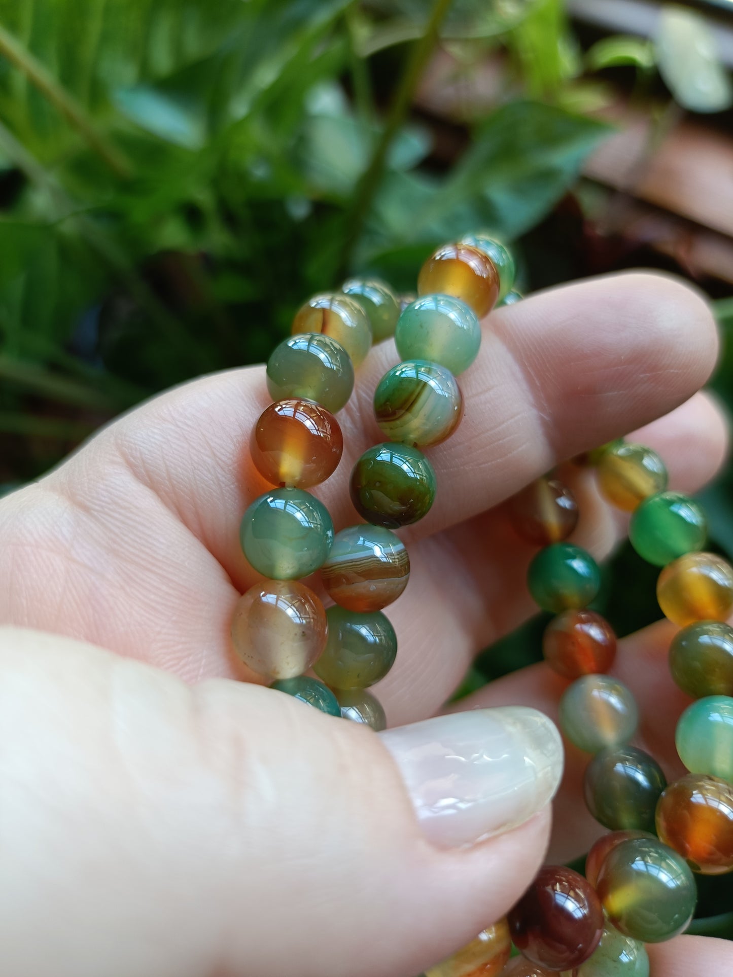Peacock Agate Beaded Stretch Bracelet - 8mm