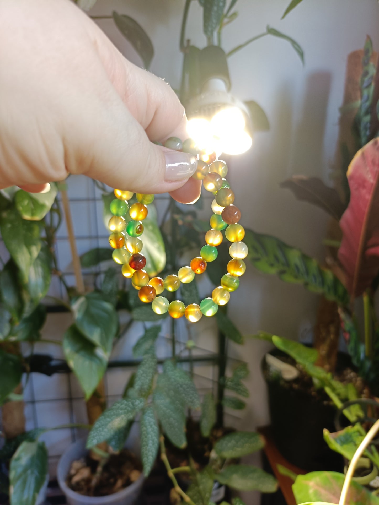 Peacock Agate Beaded Stretch Bracelet - 8mm