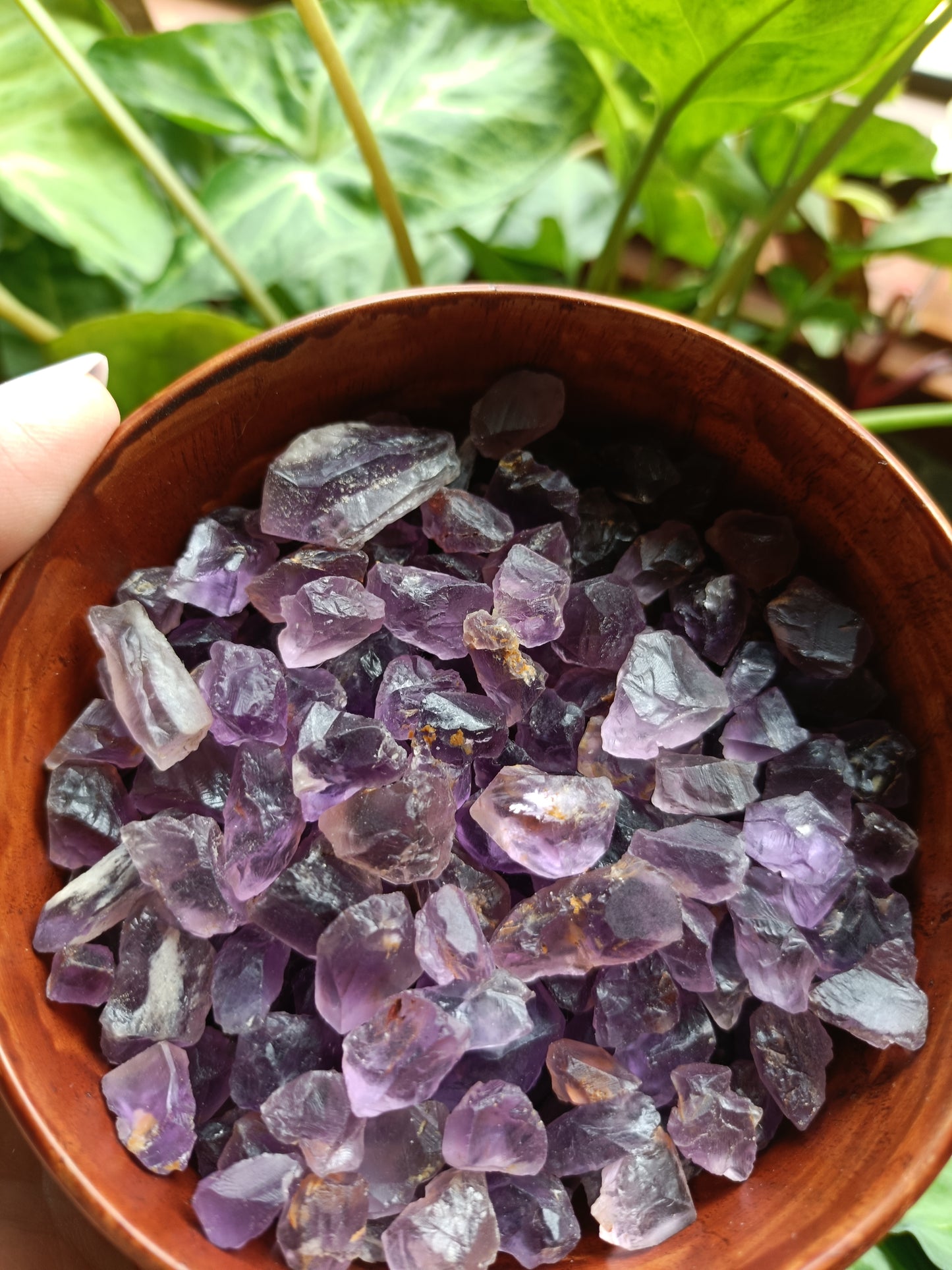 Rough Low Grade Ametrine Chips - 50g