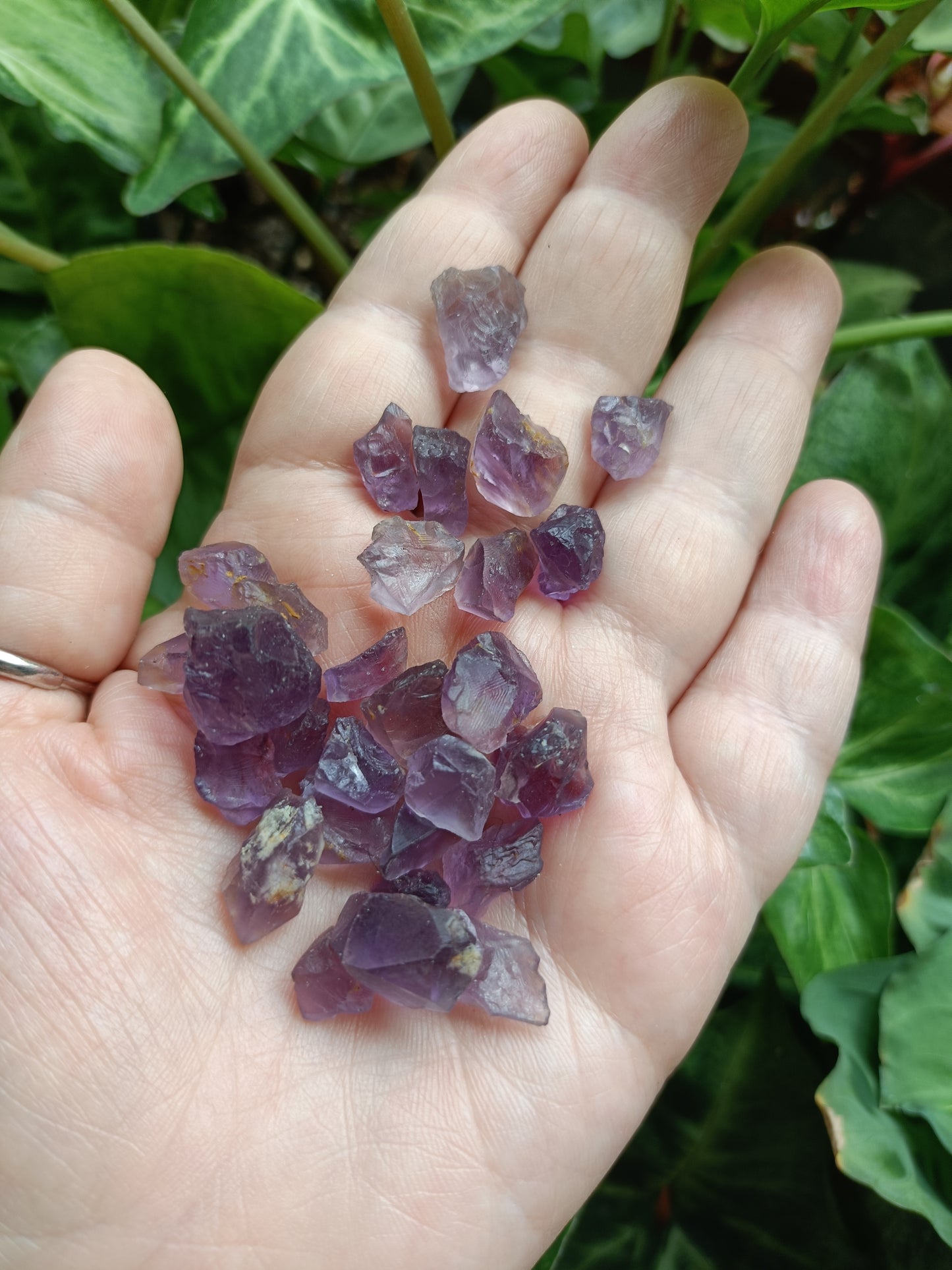 Rough Low Grade Ametrine Chips - 50g