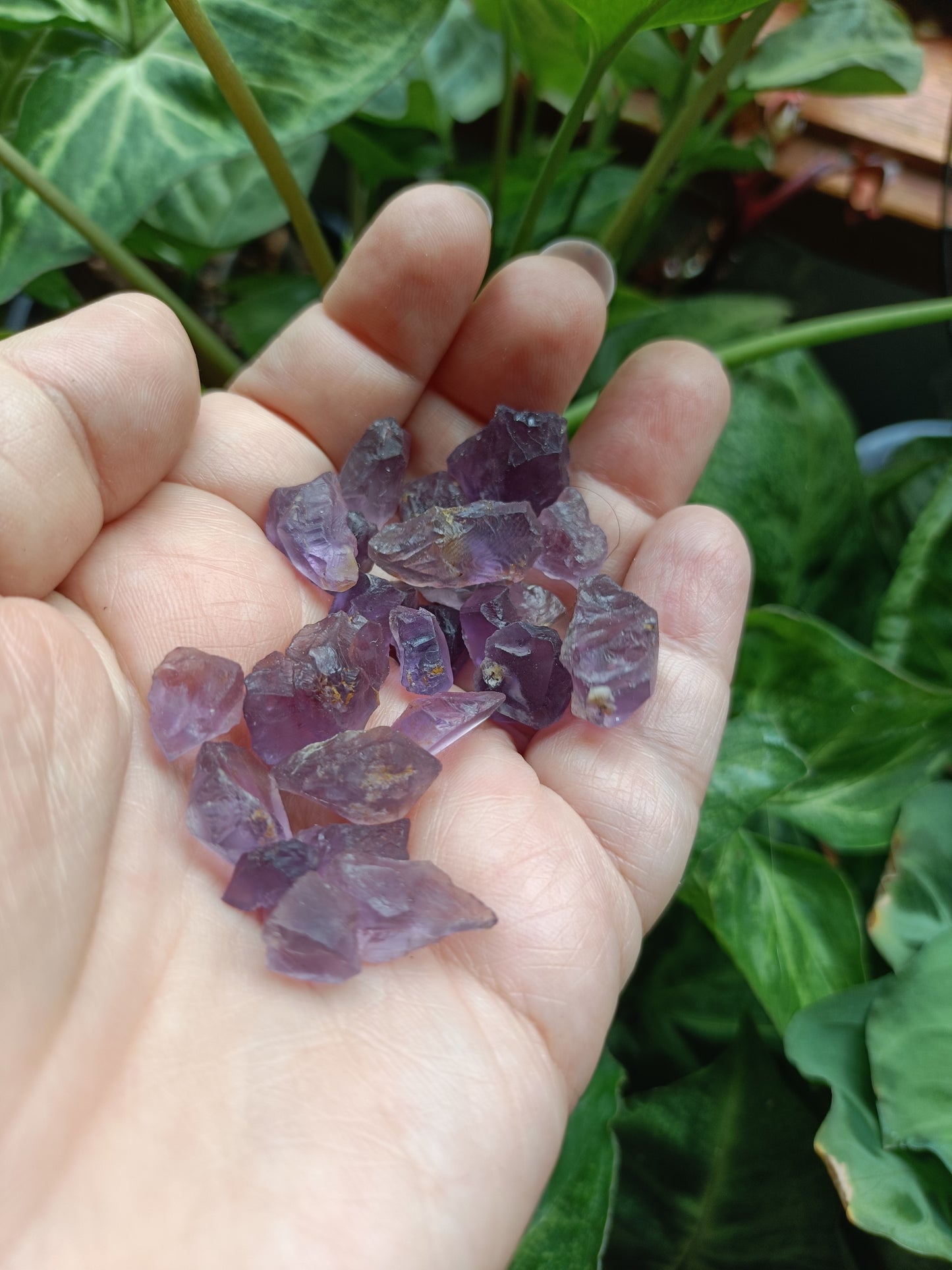 Rough Low Grade Ametrine Chips - 50g