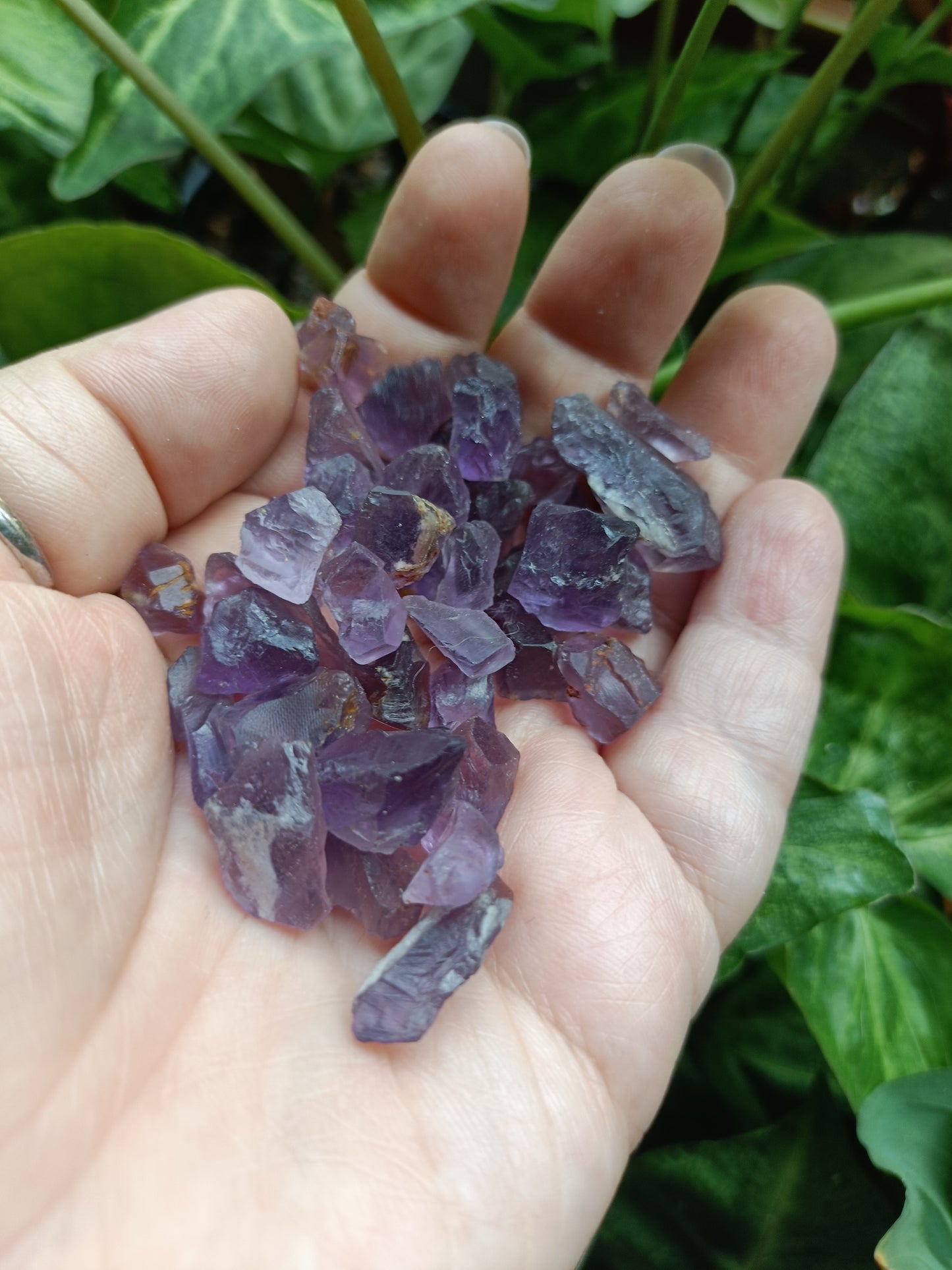 Rough Low Grade Ametrine Chips - 50g