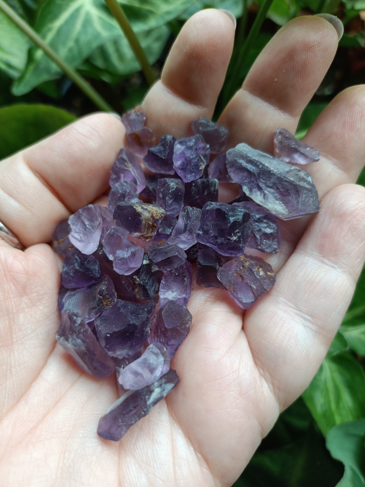 Rough Low Grade Ametrine Chips - 50g