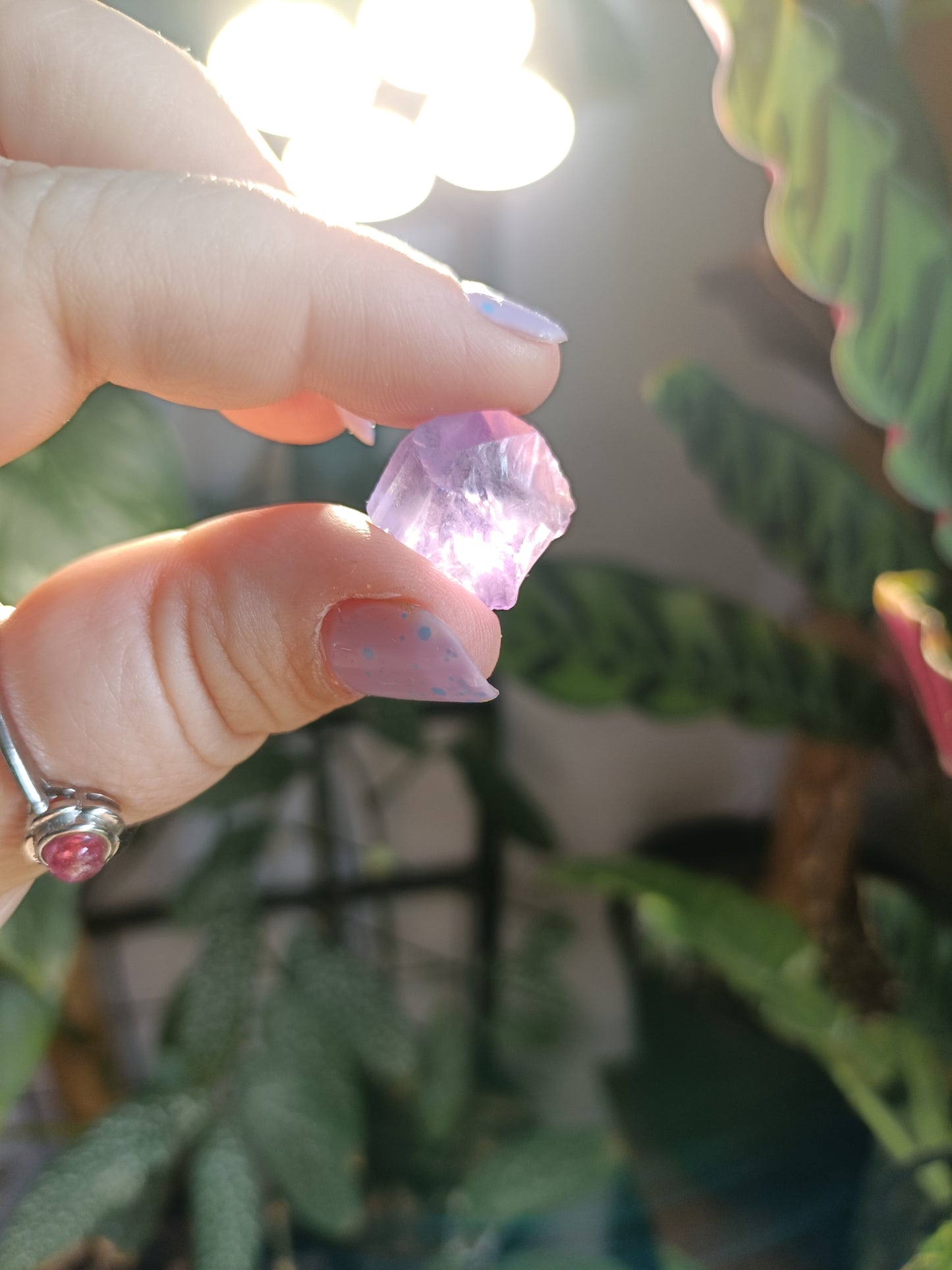 Rough Low Grade Ametrine Chips - 50g