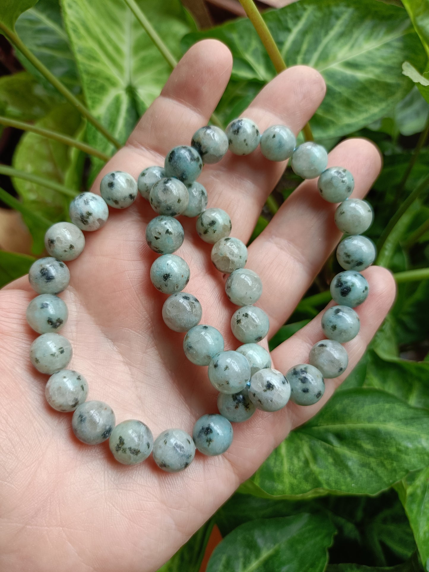 Kiwi Jasper Round Beaded Stretch Bracelet - 10mm