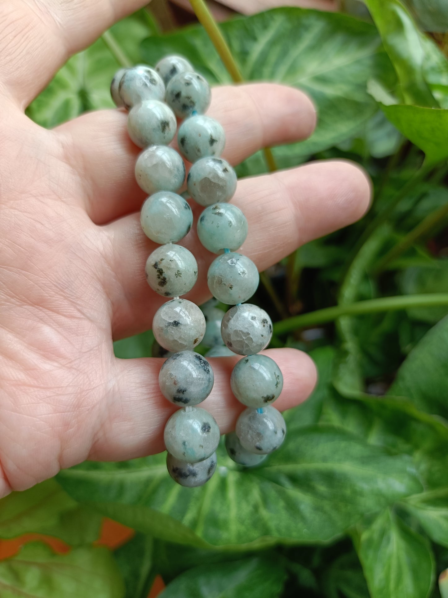 Kiwi Jasper Round Beaded Stretch Bracelet - 10mm