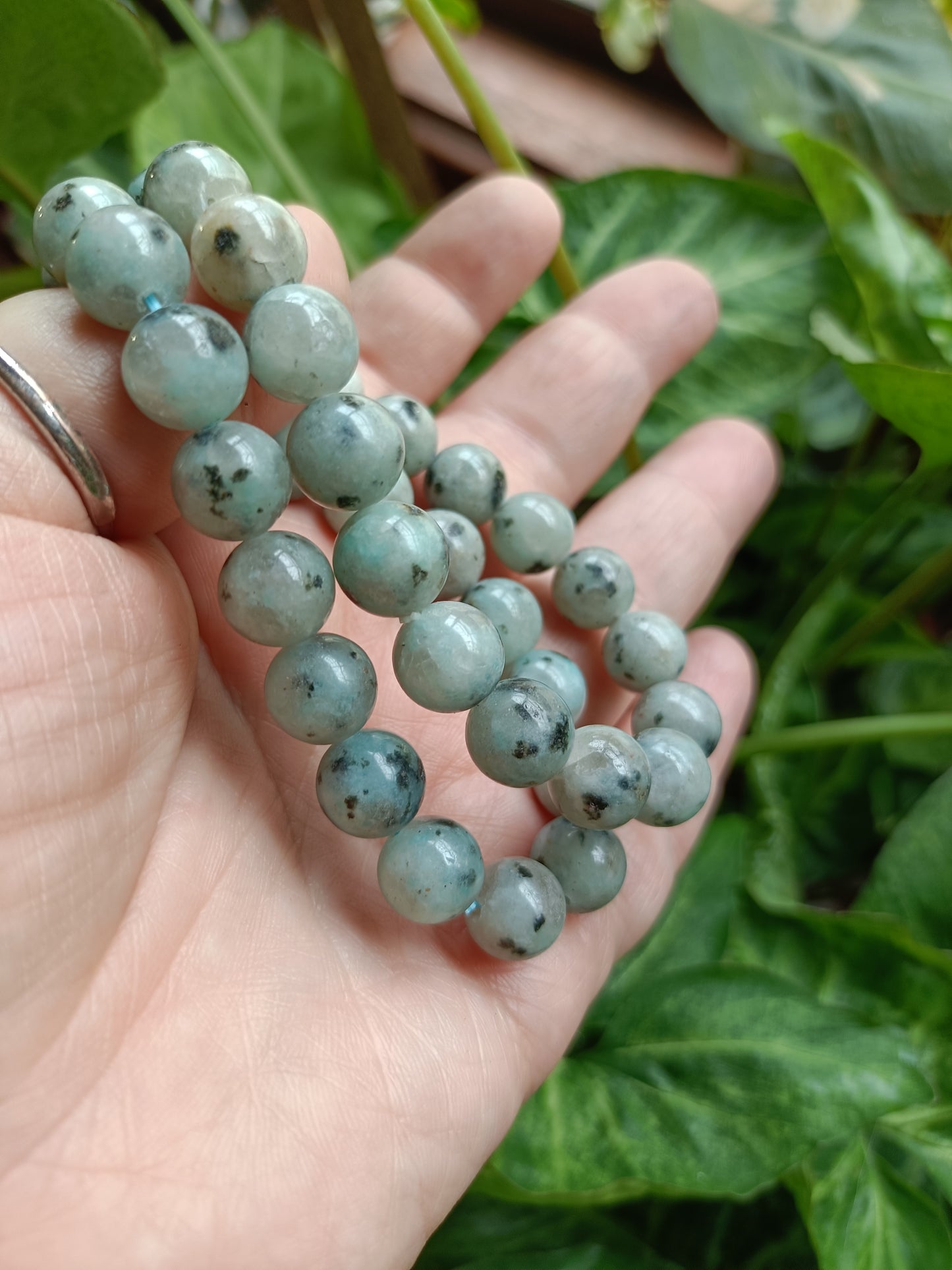 Kiwi Jasper Round Beaded Stretch Bracelet - 10mm