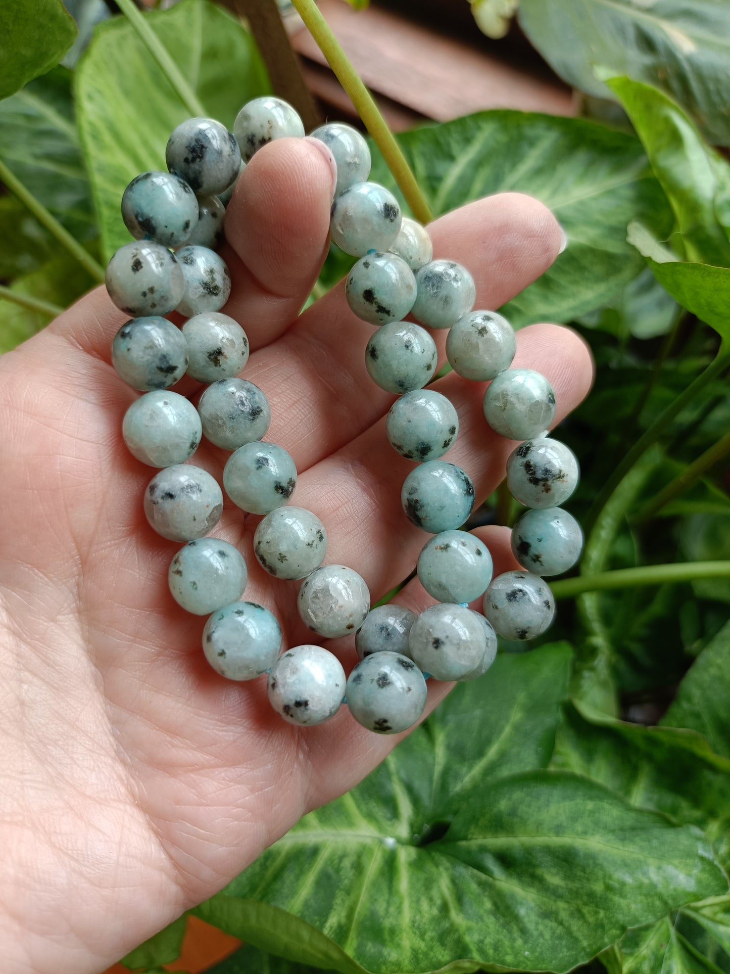 Kiwi Jasper Round Beaded Stretch Bracelet - 10mm