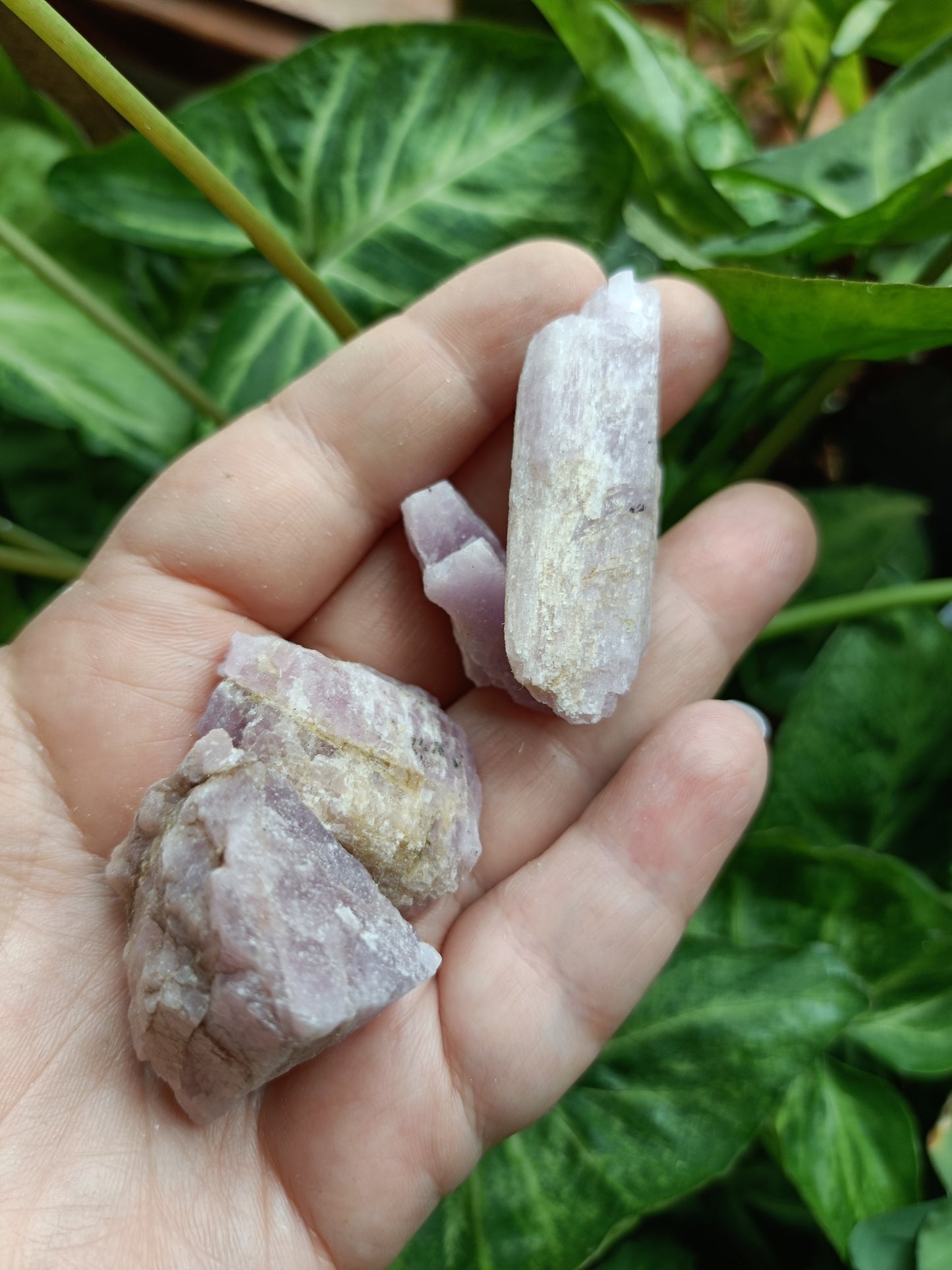 Kunzite Raw Stones - 100 grams