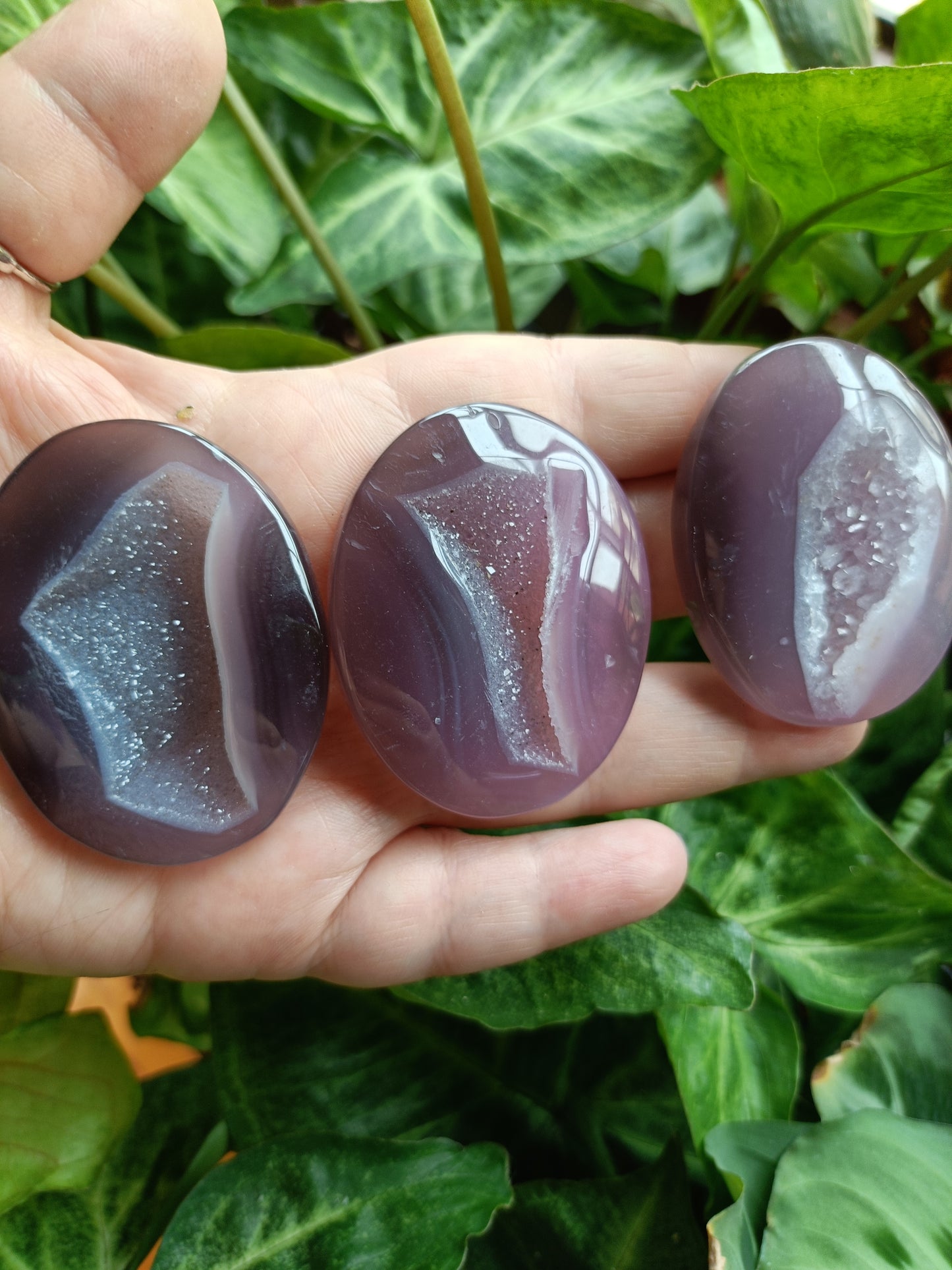Pink Agate Druzy Palm Stones - 40-50g