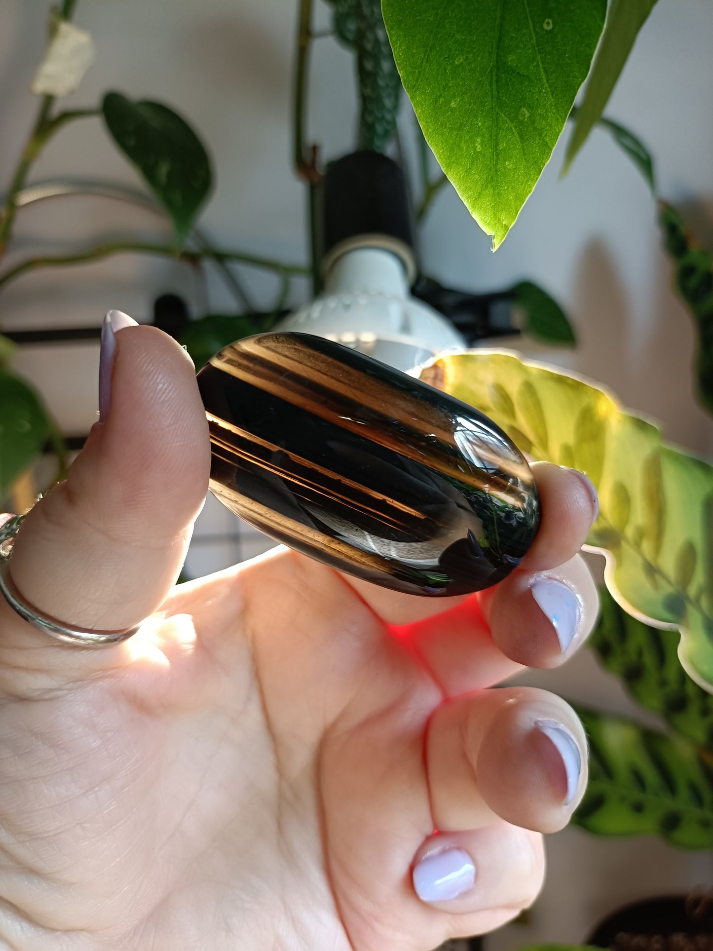 Midnight Lace/Ice Obsidian Palm Stones - 70-90g