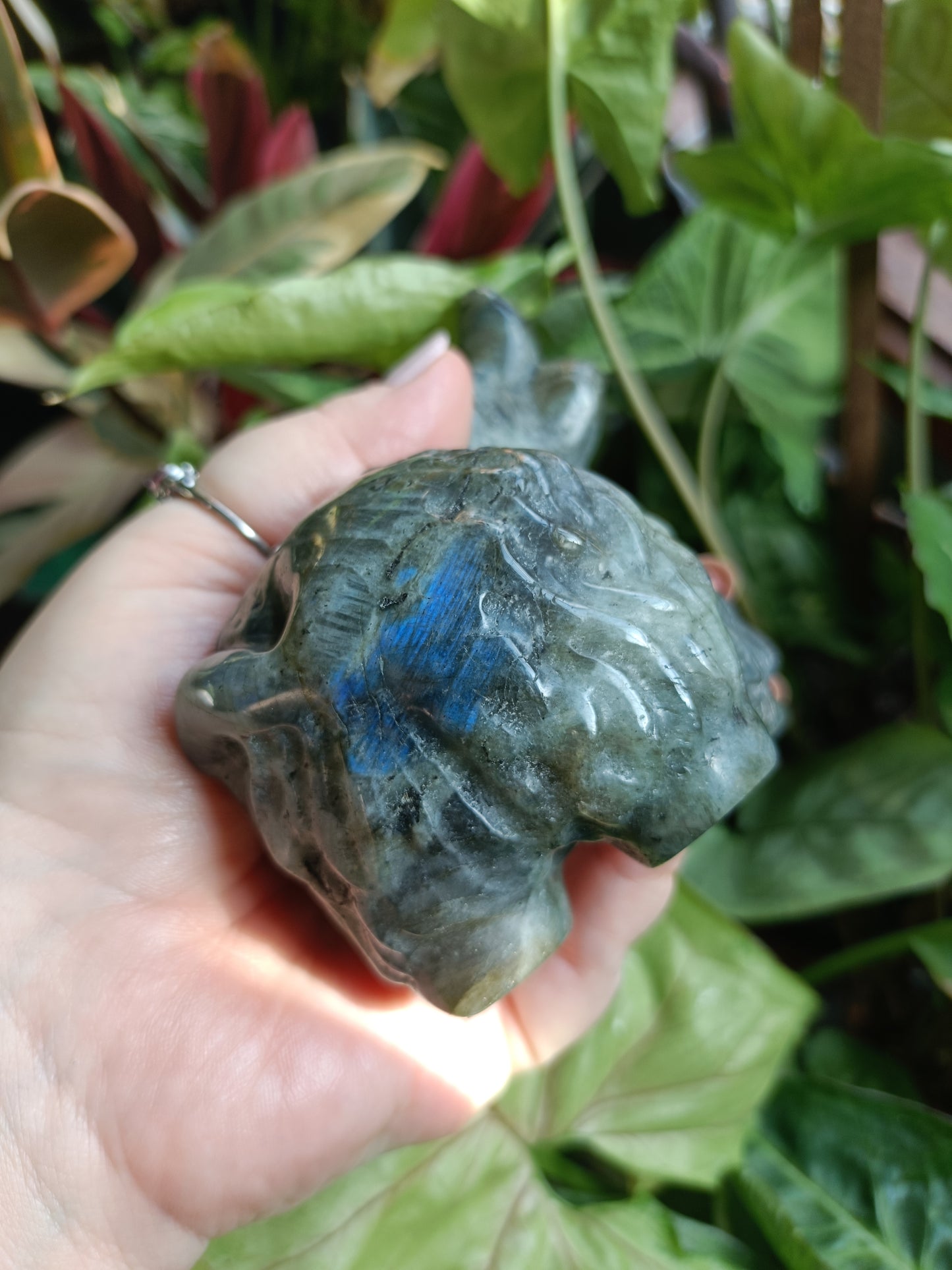 Labradorite Highland Cow Carving - 900g