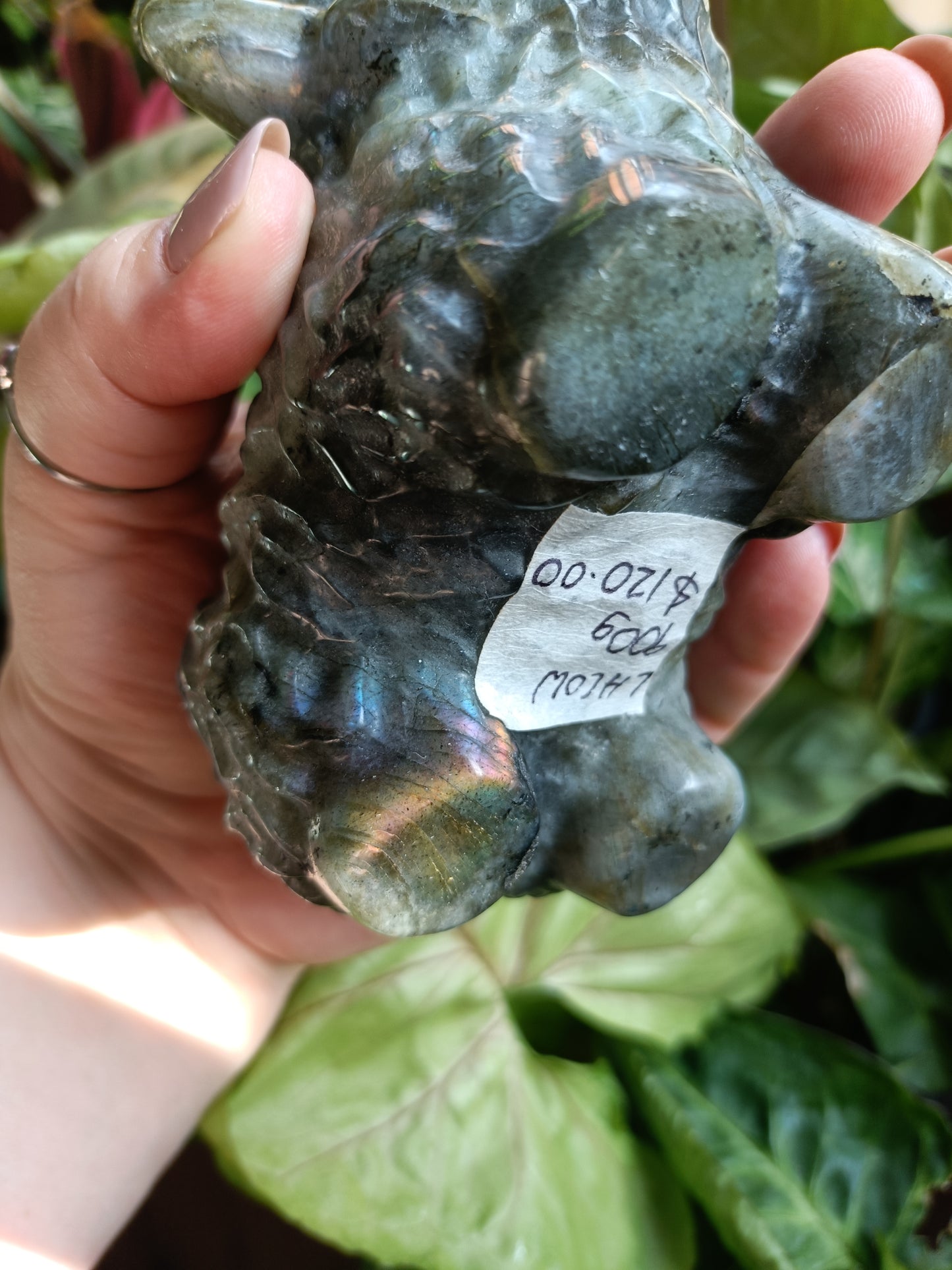 Labradorite Highland Cow Carving - 900g