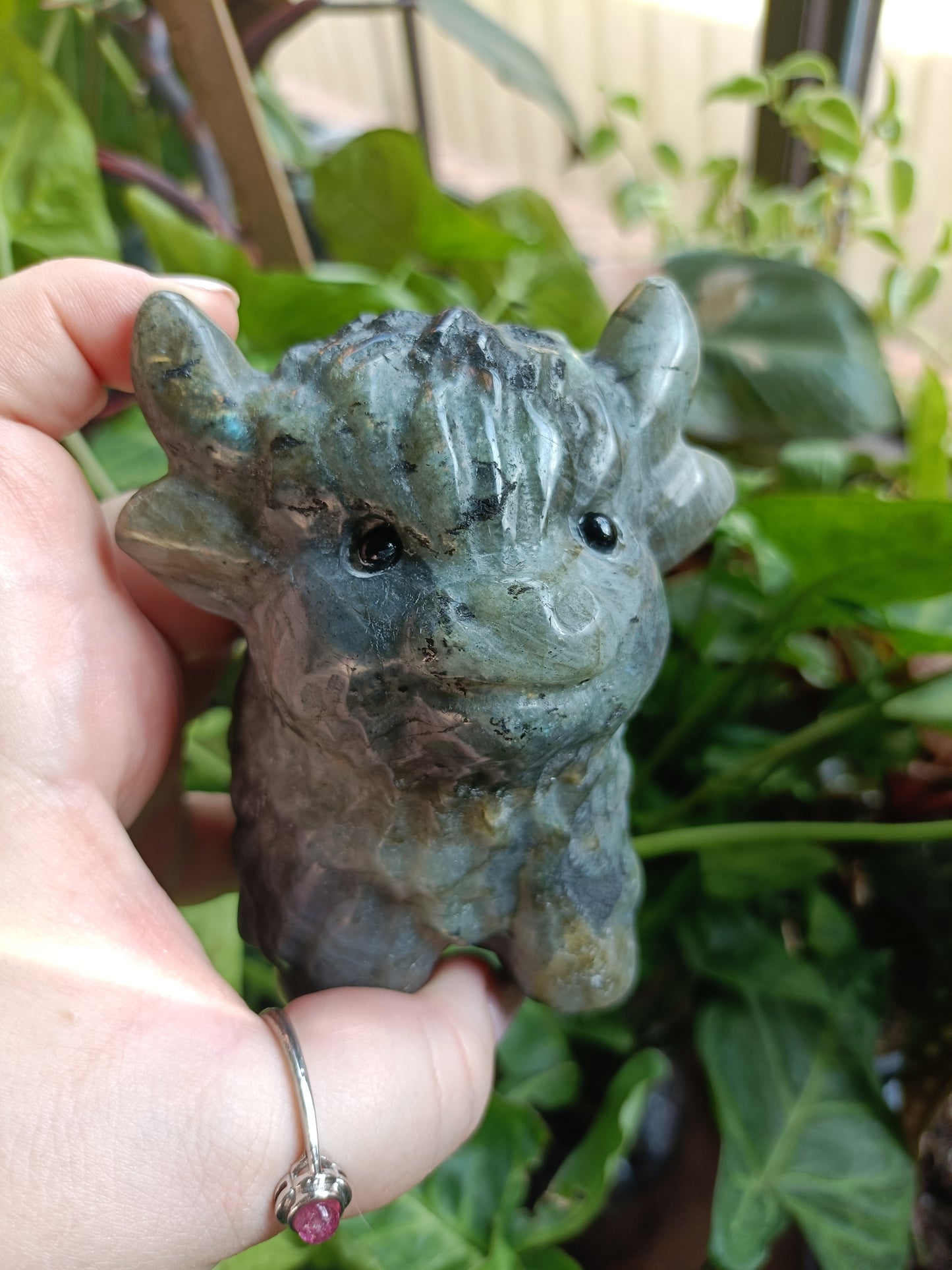 Labradorite Highland Cow Carving - 900g