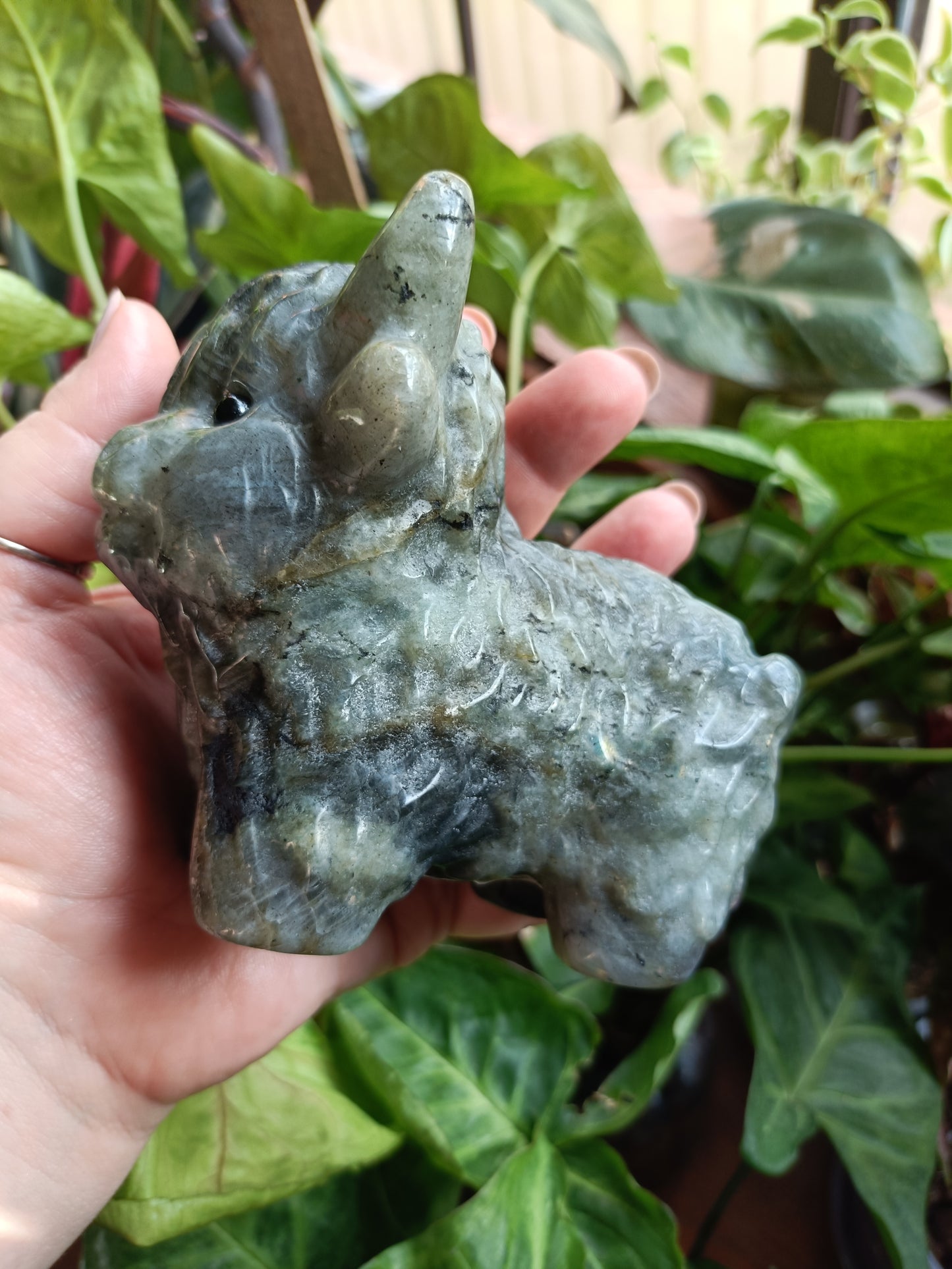 Labradorite Highland Cow Carving - 900g