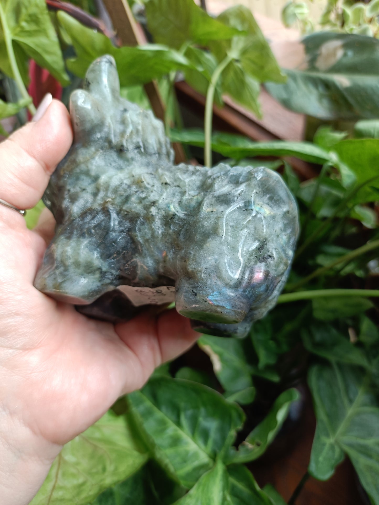Labradorite Highland Cow Carving - 900g