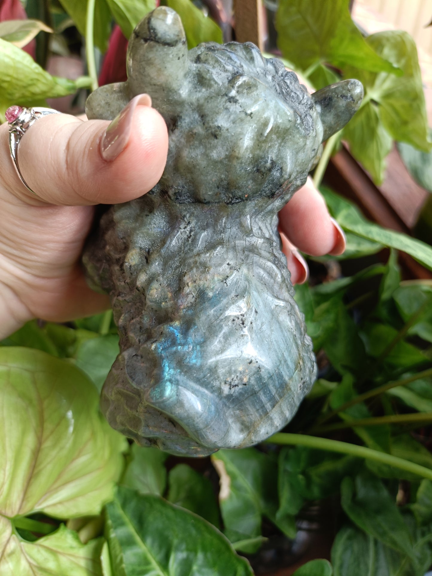 Labradorite Highland Cow Carving - 900g