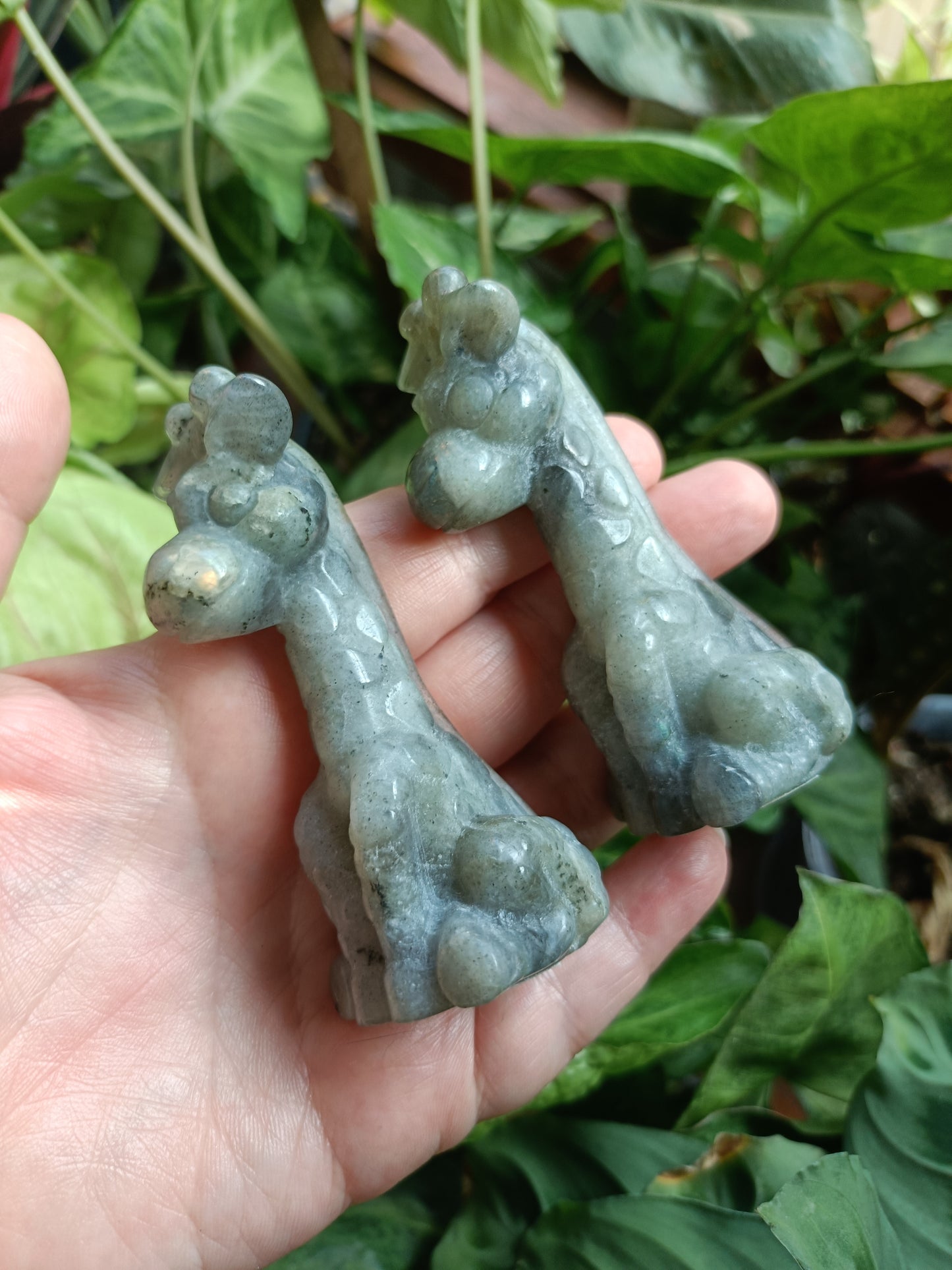 Labradorite Sitting Giraffe Carving - 85-95g