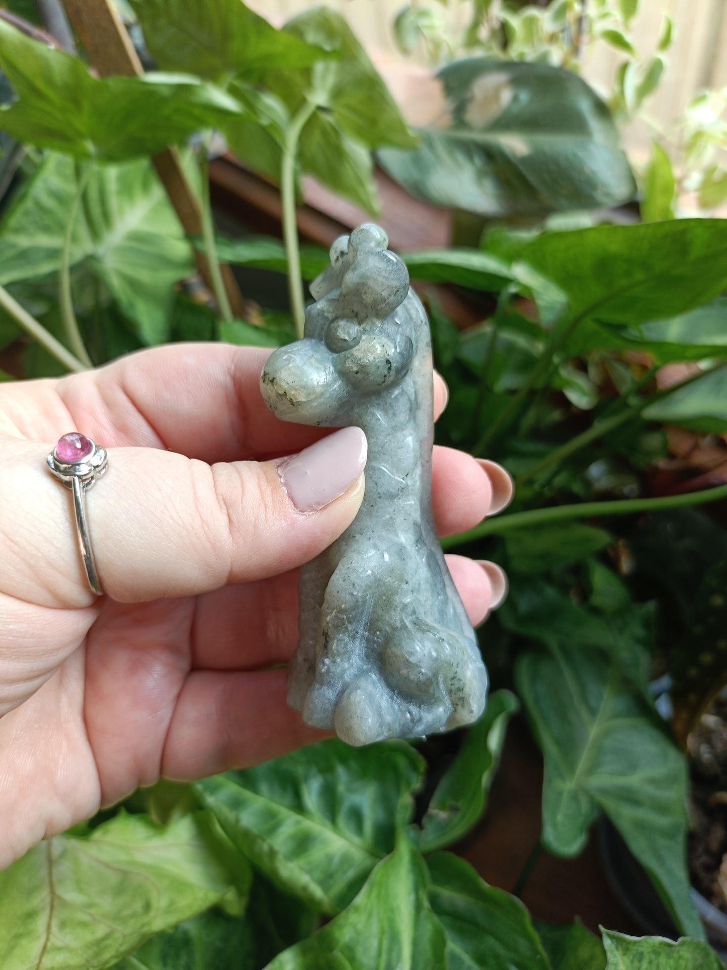 Labradorite Sitting Giraffe Carving - 85-95g