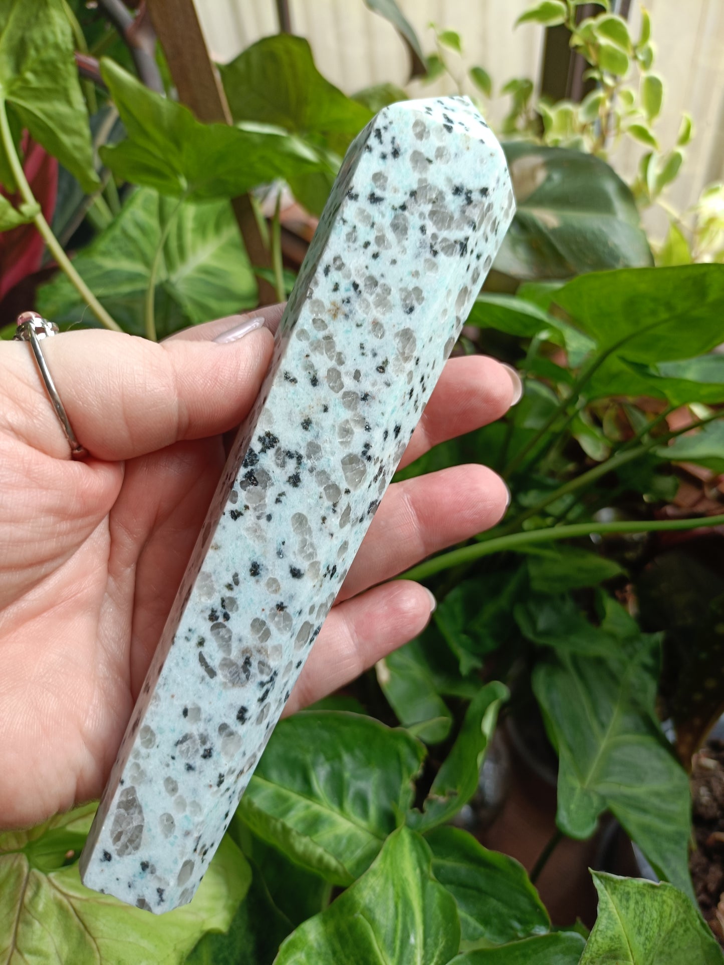 Kiwi Jasper Wand + Metal Stand - 280-340g