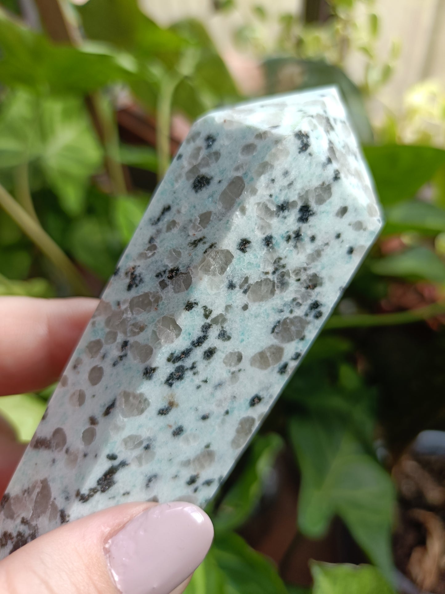 Kiwi Jasper Wand + Metal Stand - 280-340g