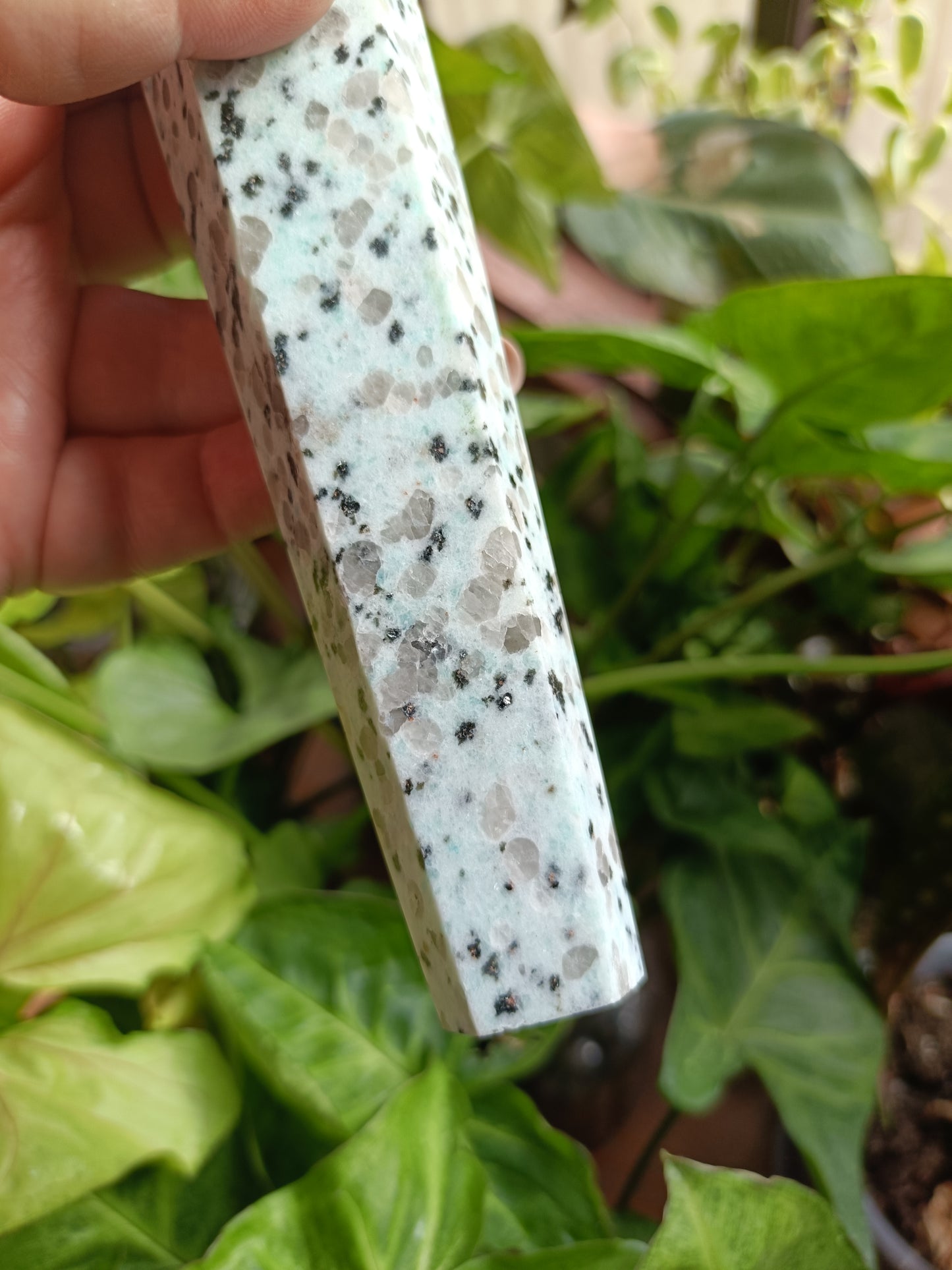 Kiwi Jasper Wand + Metal Stand - 280-340g