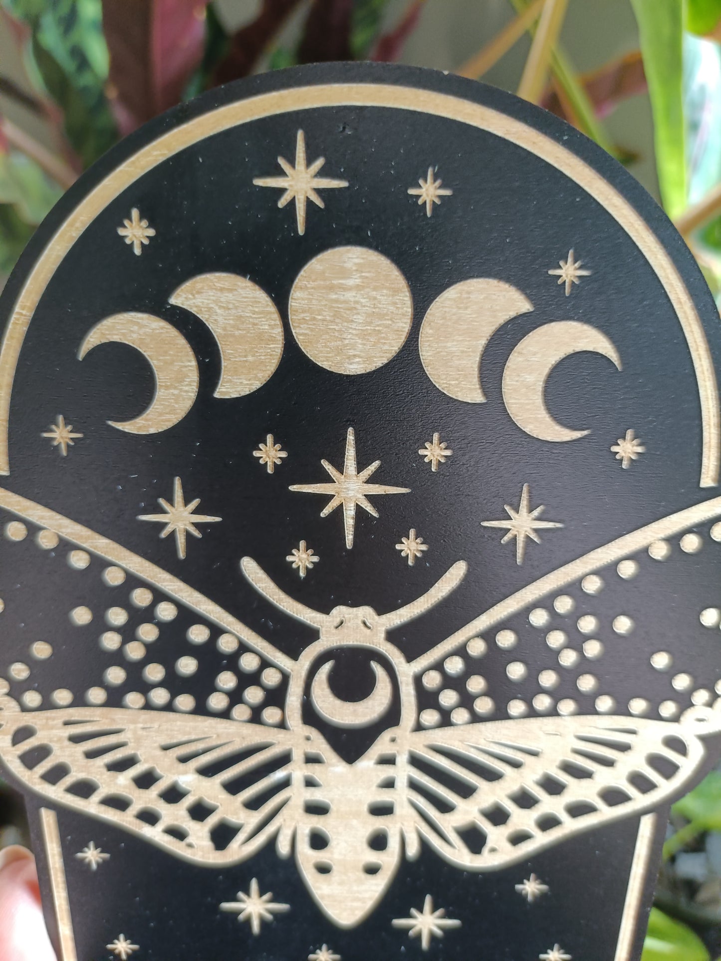 Moon & Moth Trinket Shelf Wall Hanging