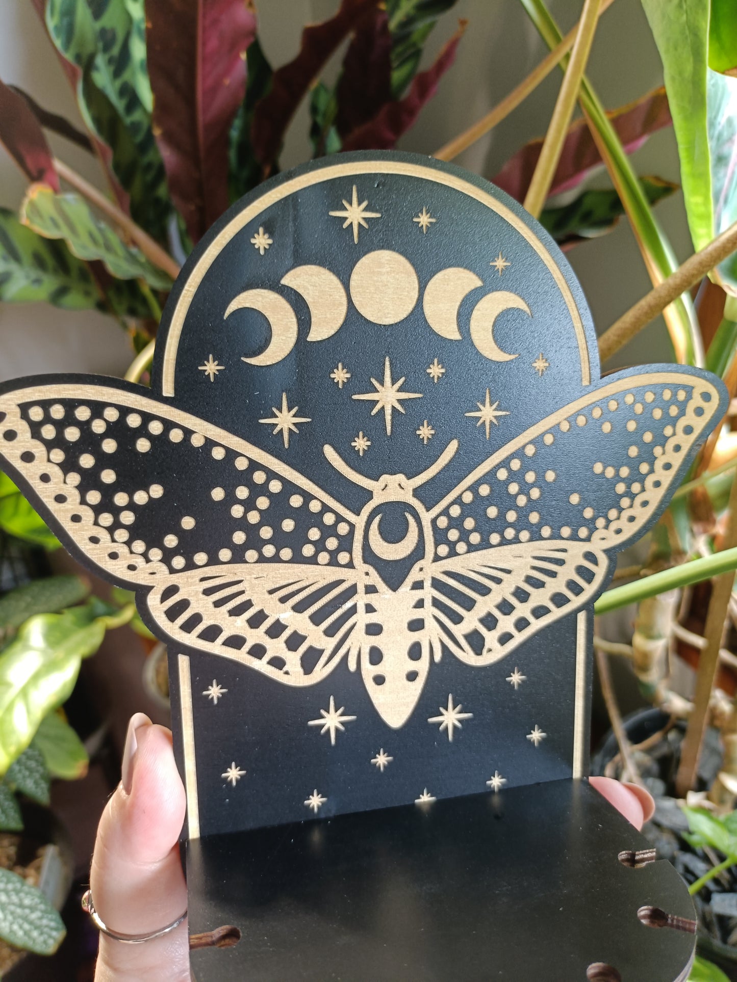 Moon & Moth Trinket Shelf Wall Hanging